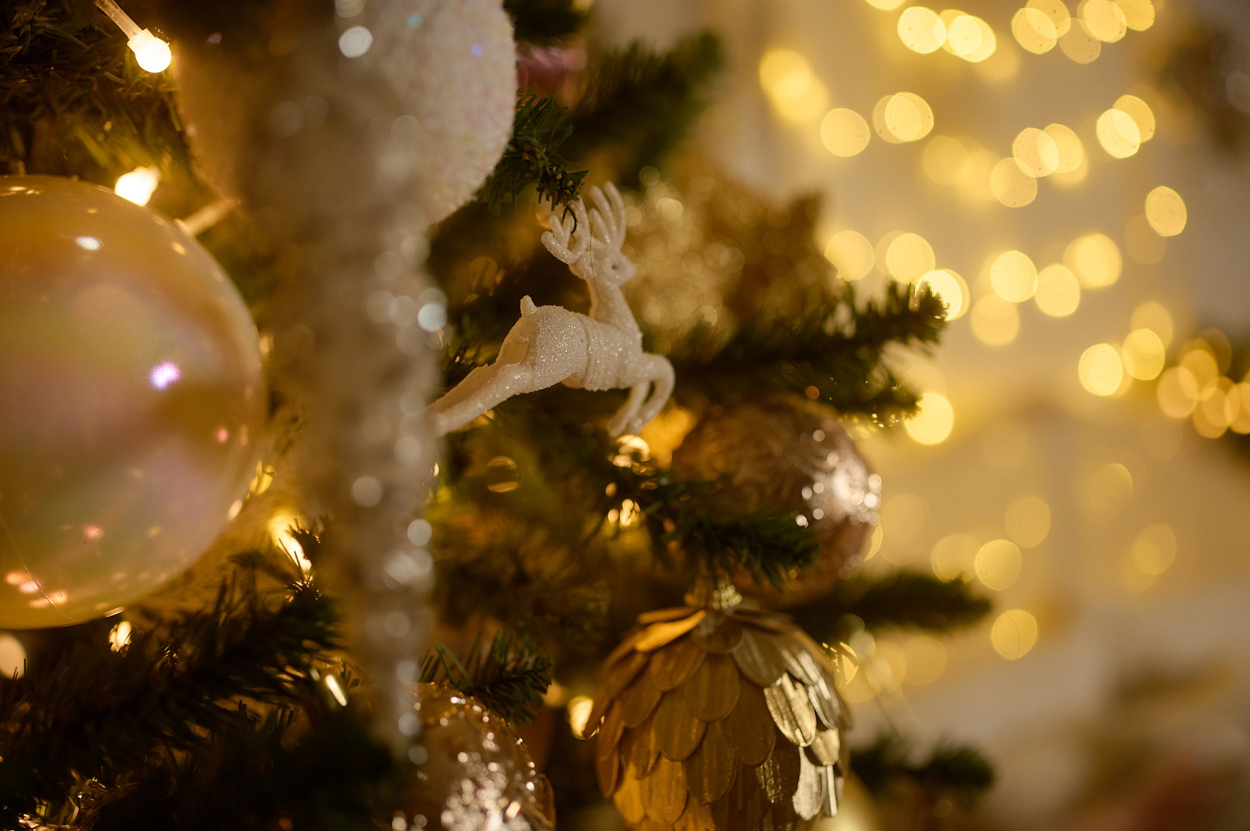 Фотостудия «Леона» зал Библиотека. Свадебный фотограф в Ростове Александра Груздева