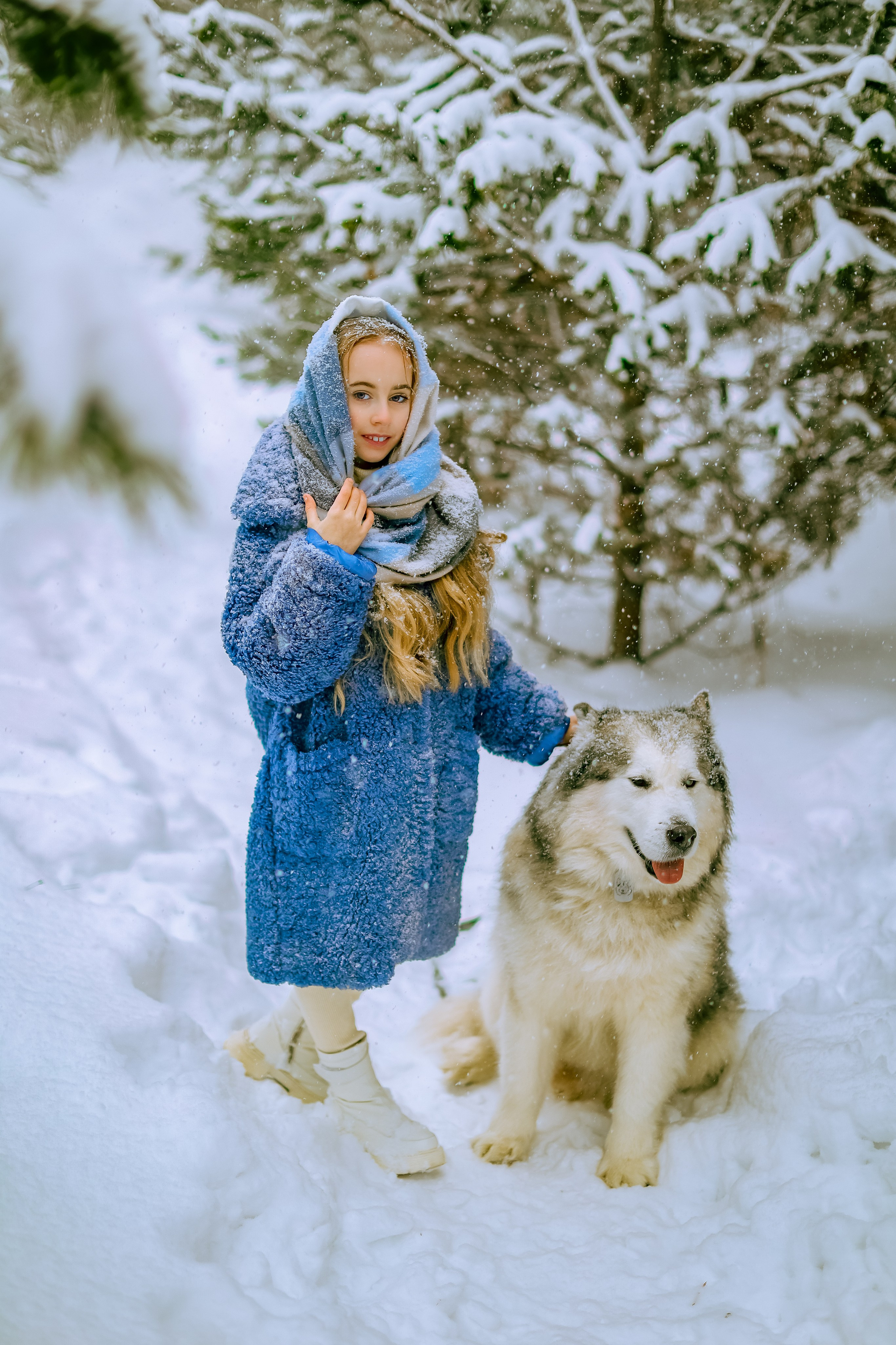 София и аляскинский маламут. Фото и видео Москва, Московский. Свадебный фотограф, видеограф, фотосессии, видеосъемка