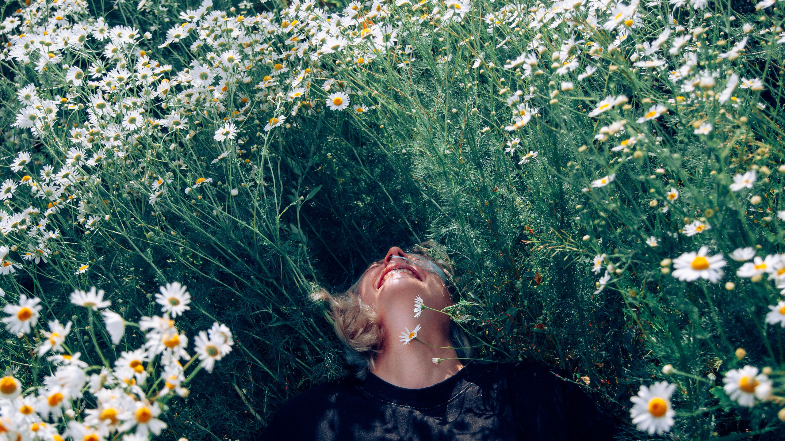 девушка лежит на ромашковом поле