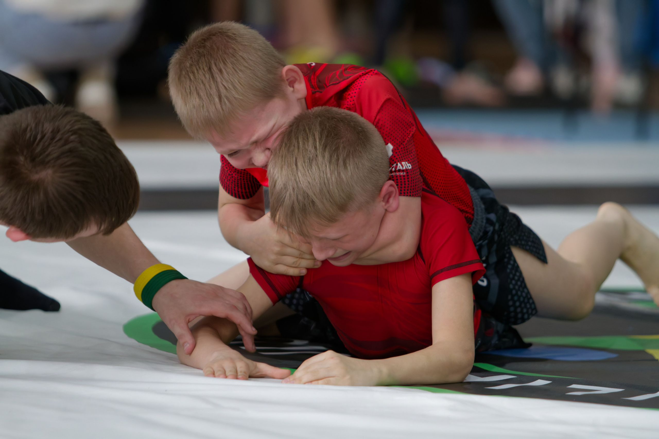 Борьба. Джиу-джитсу 26.04.2025. Репортажный и спортивный фотограф в г. Пермь Зильберг Павел