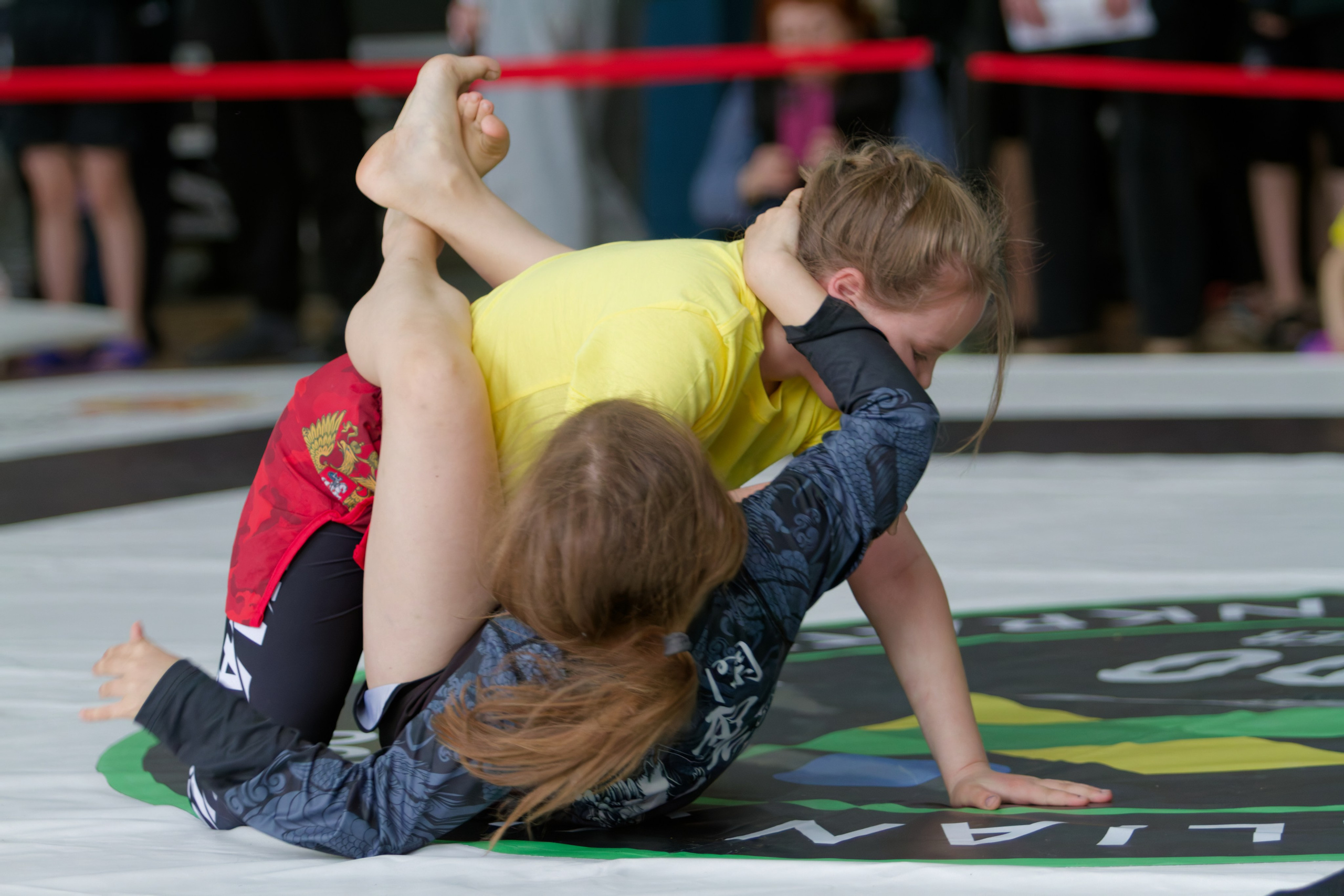 Борьба. Джиу-джитсу 26.04.2025. Репортажный и спортивный фотограф в г. Пермь Зильберг Павел