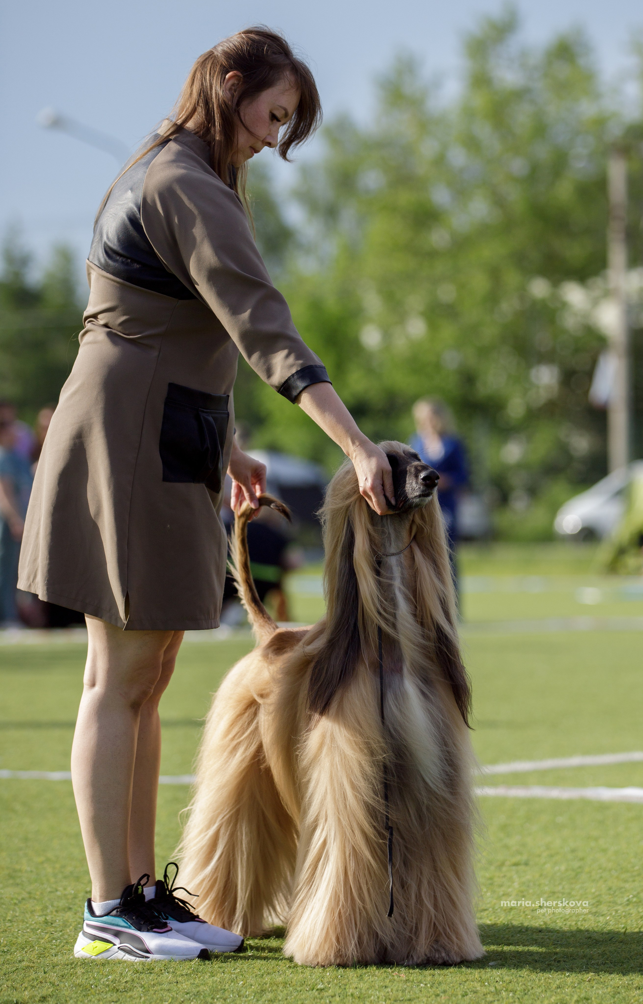 Выставки. Фотограф-анималист в Калуге Мария Шерскова