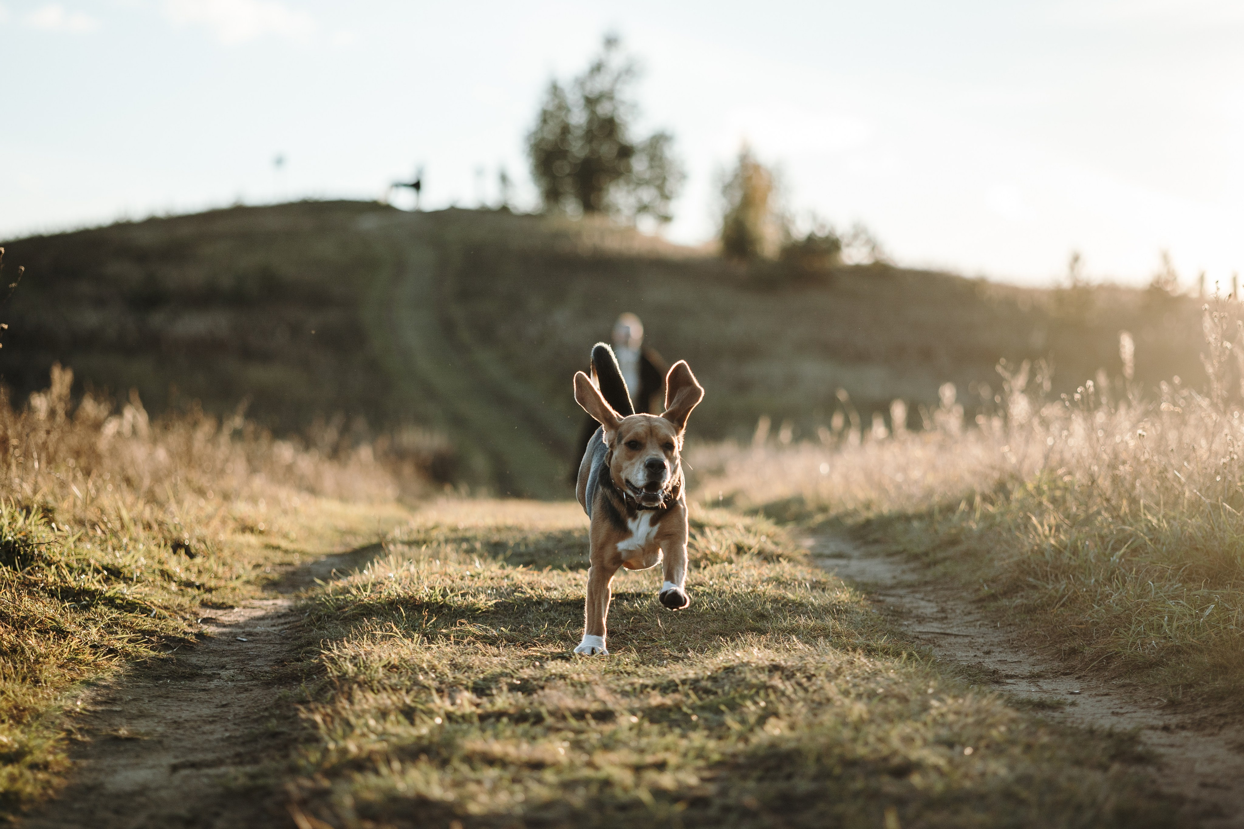 Оуджи и его семья. Фотограф — Анималист | Санкт-Петербург