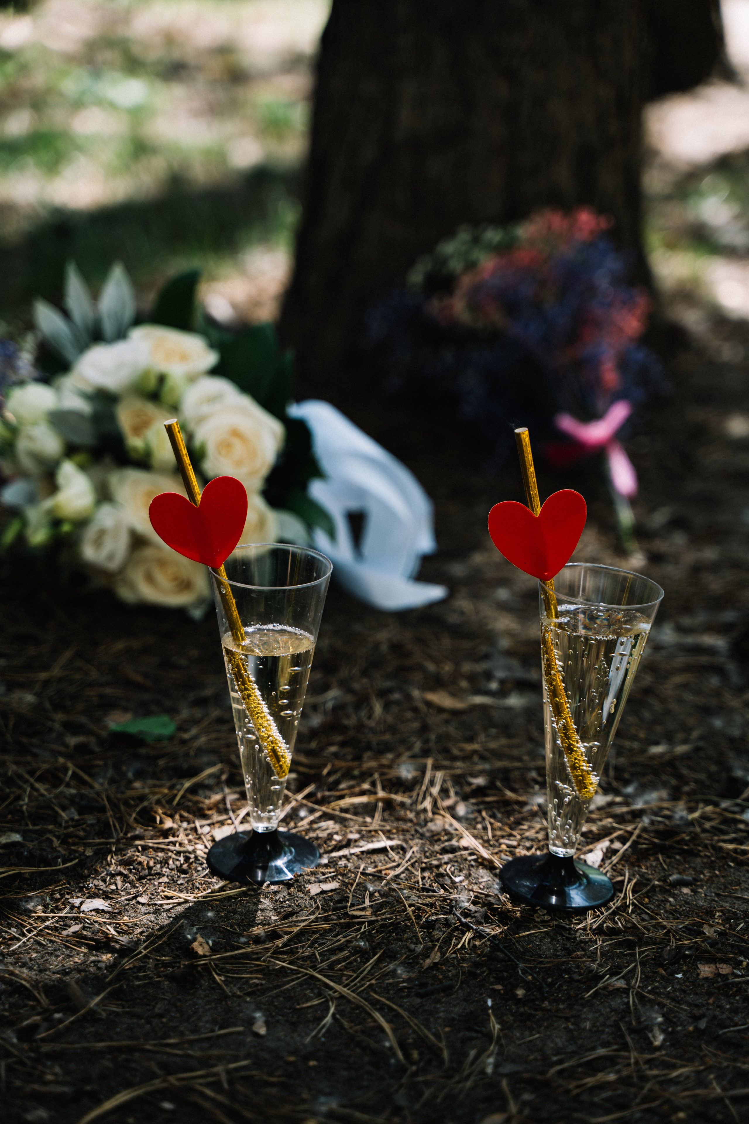 Свадьба Саши и Насти. Свадебный и семейный фотограф в Новосибирске Синицына Наталья