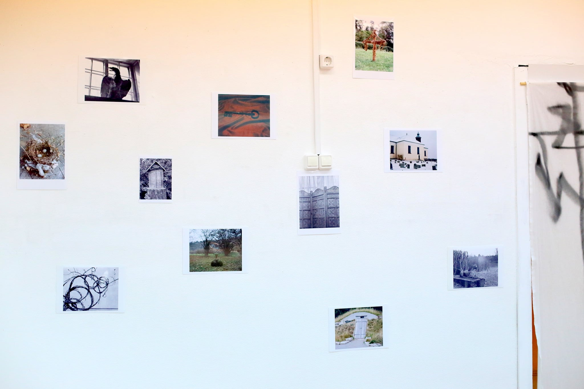 ARSGANG or the Walking Year (New). Екатерина Васильева художник, куратор и преподаватель