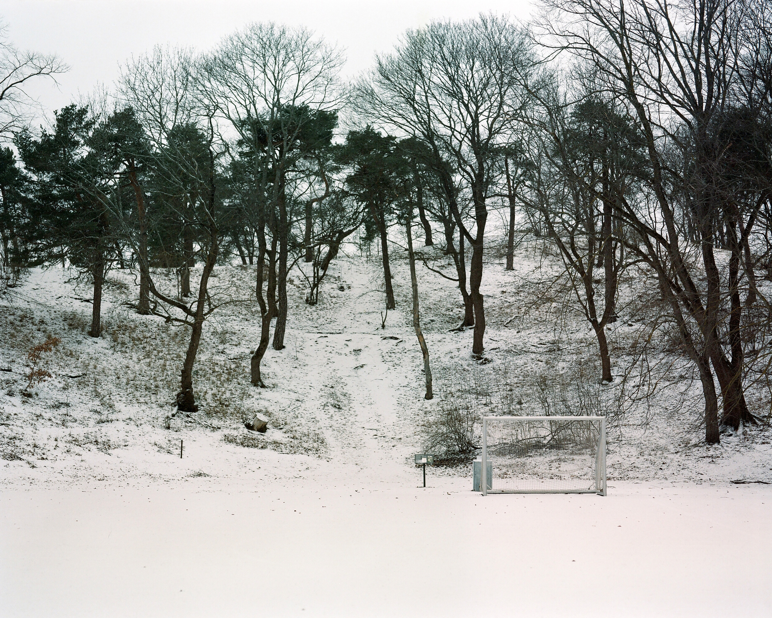 ARSGANG or the Walking Year (New). Екатерина Васильева художник, куратор и преподаватель