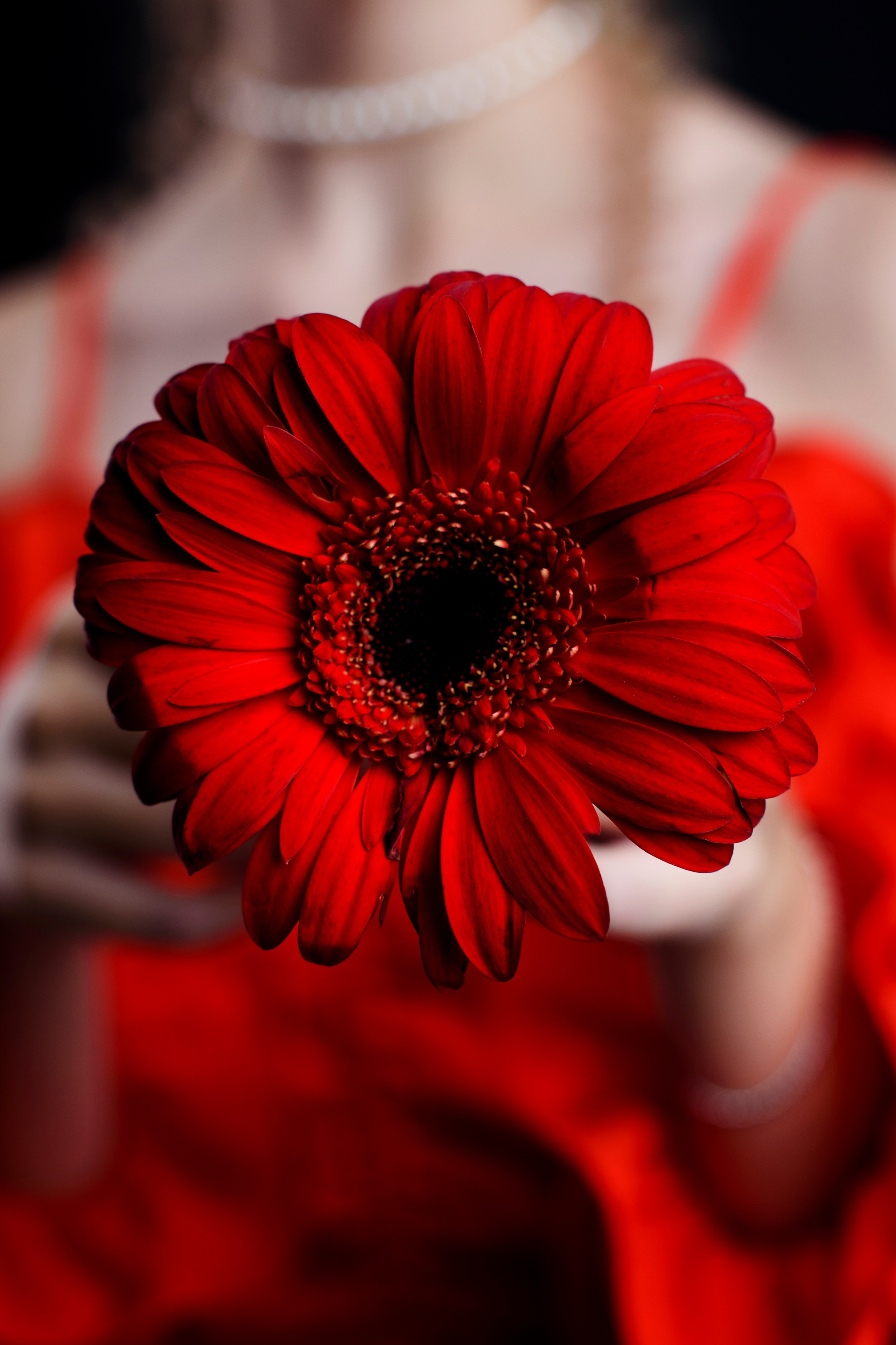 Эвелина. Я — Фотограф из Хабаровска