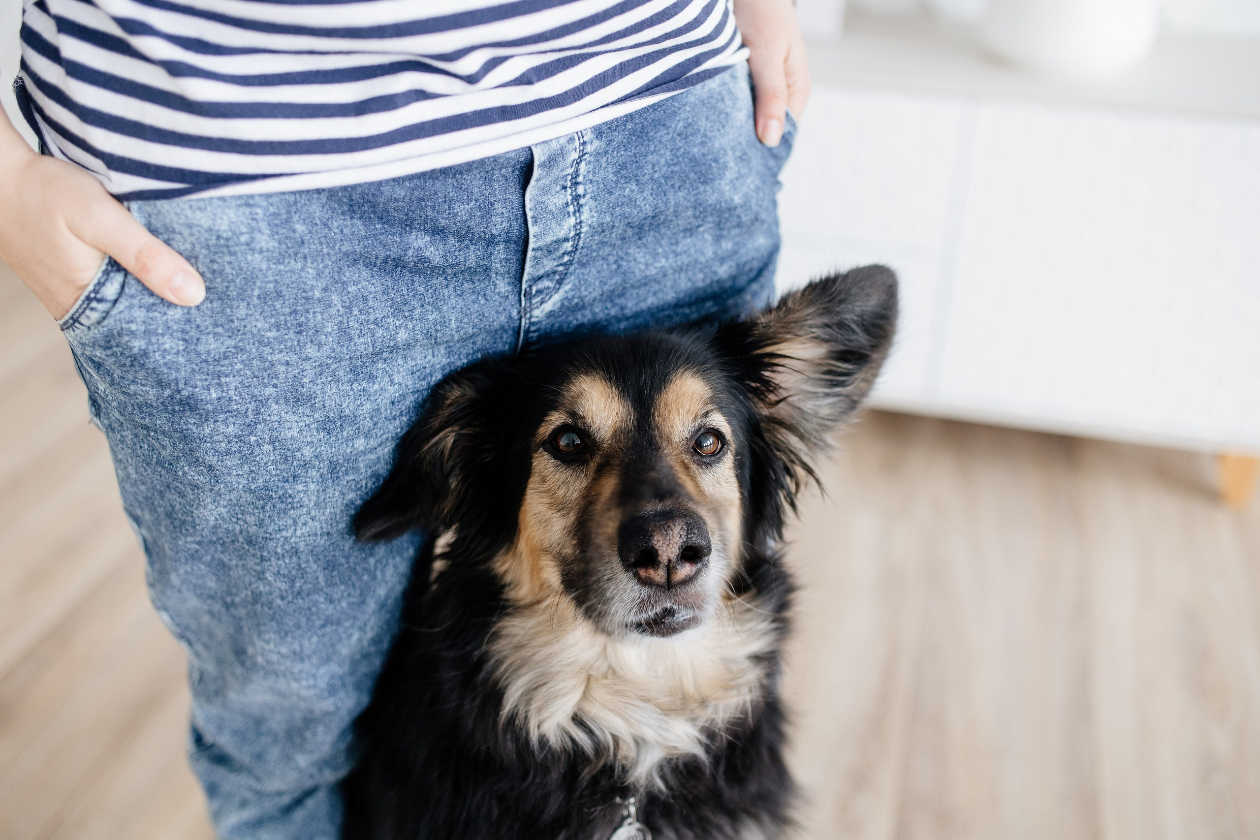 Анастасия, зоопсихолог. Свадебный и семейный фотограф Екатерина Иванова