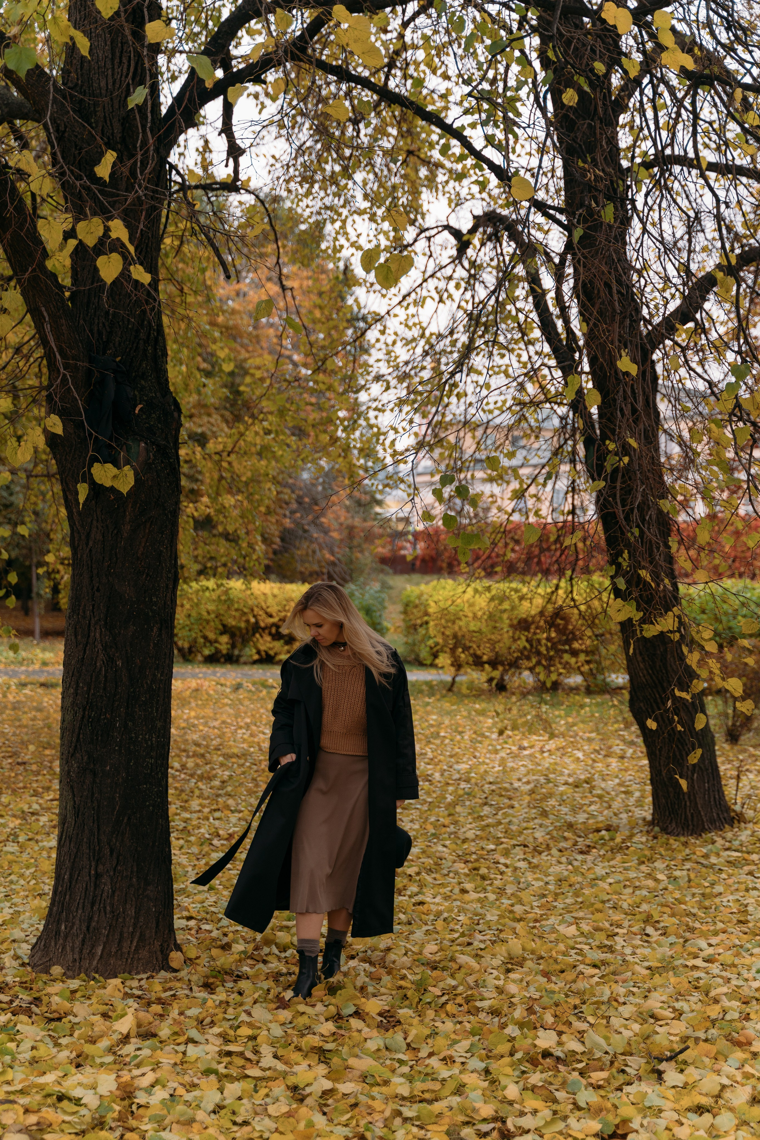 Осенняя история. FotoTanya. Раменское/Жуковский/Бронницы