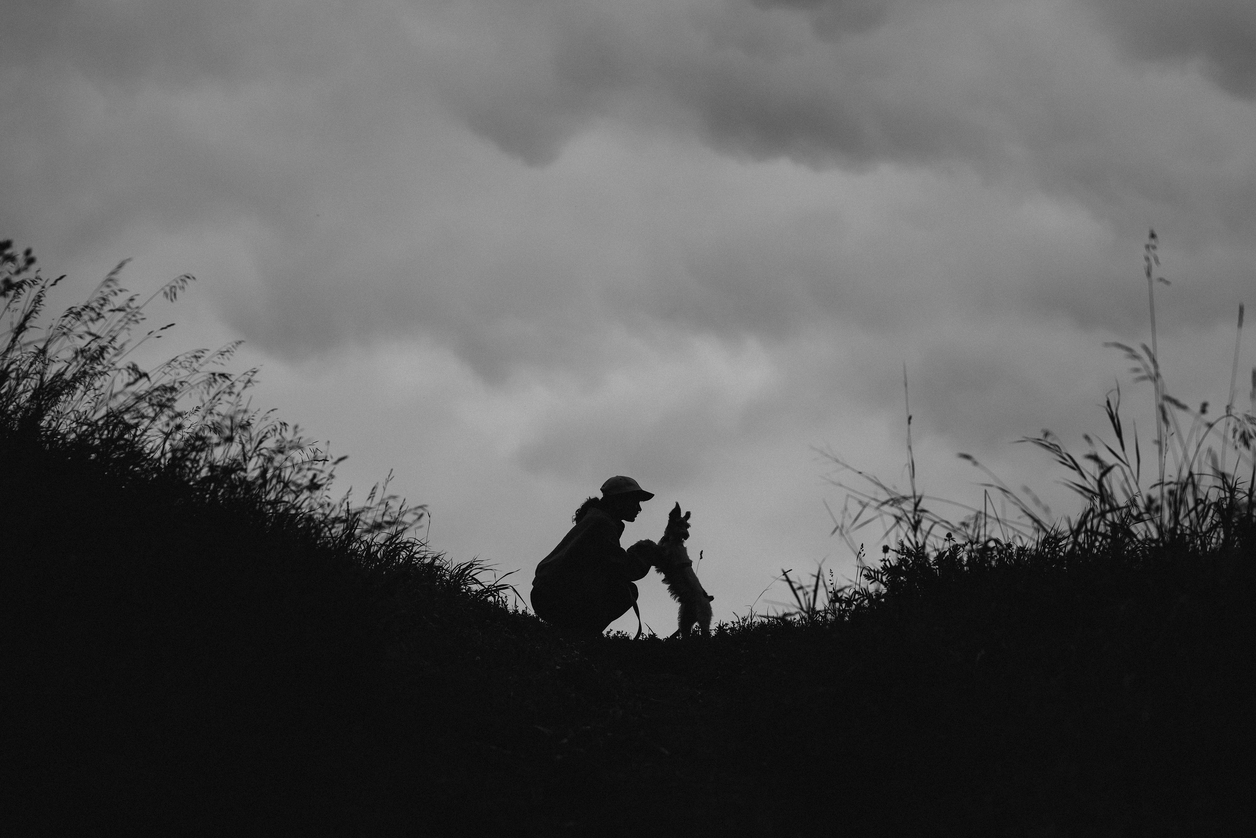 Мартин. Фотограф- анималист Александра Матвеева