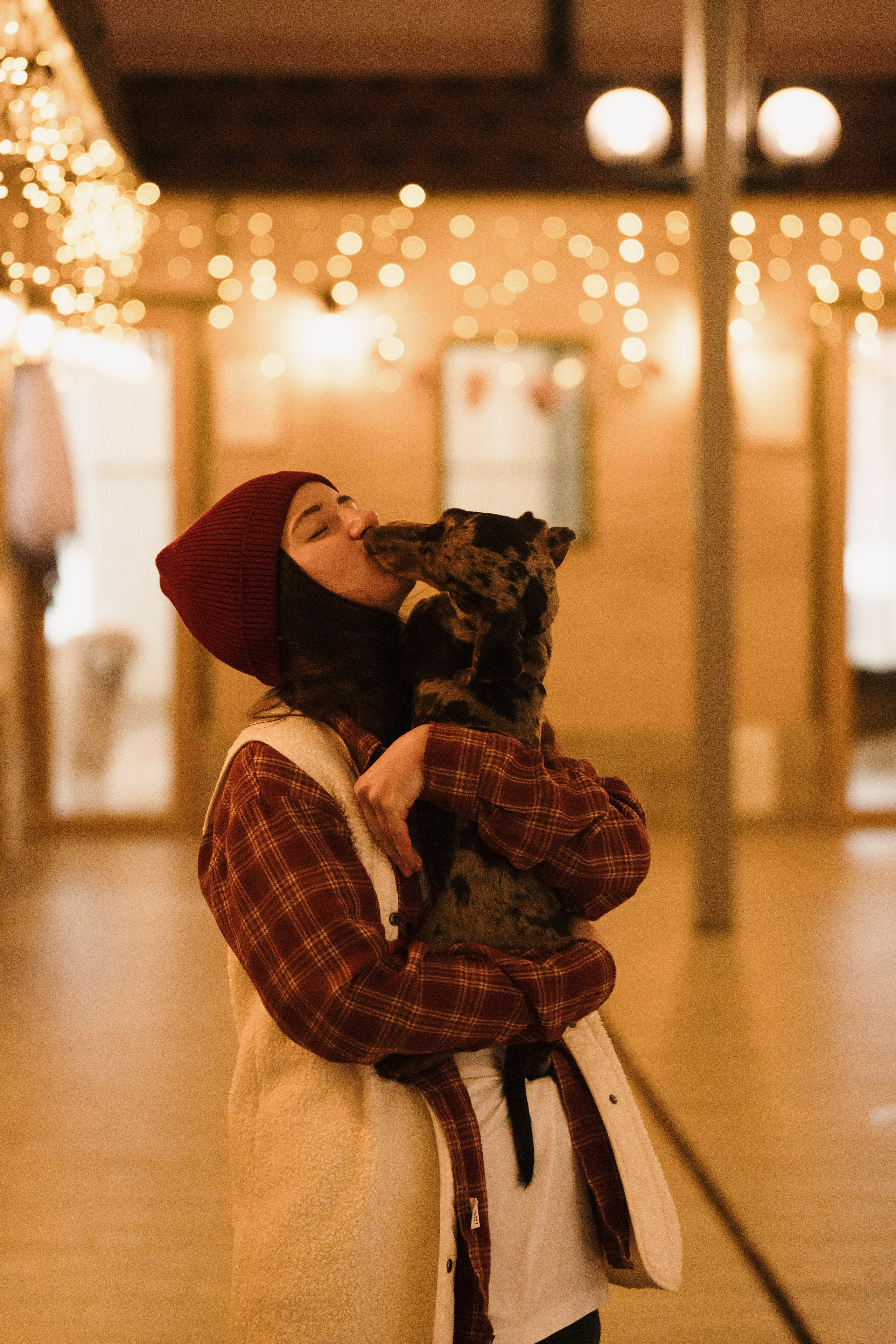 Зоогостиница Мишка. Фотограф- анималист Александра Матвеева