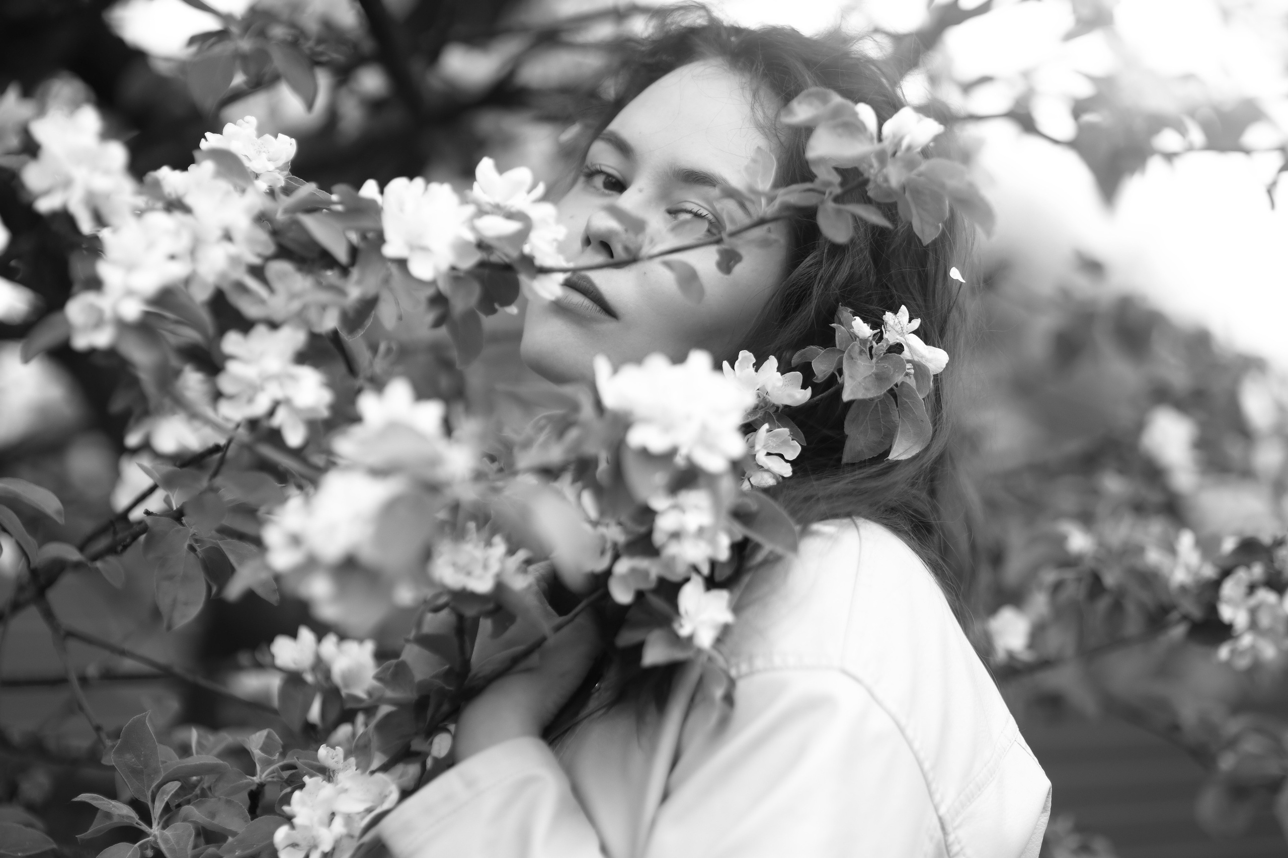 Девушка в цветах вишни. Свадебный и репортажный фотограф в Ярославле и Санкт-Петербурге Роман Микрюков