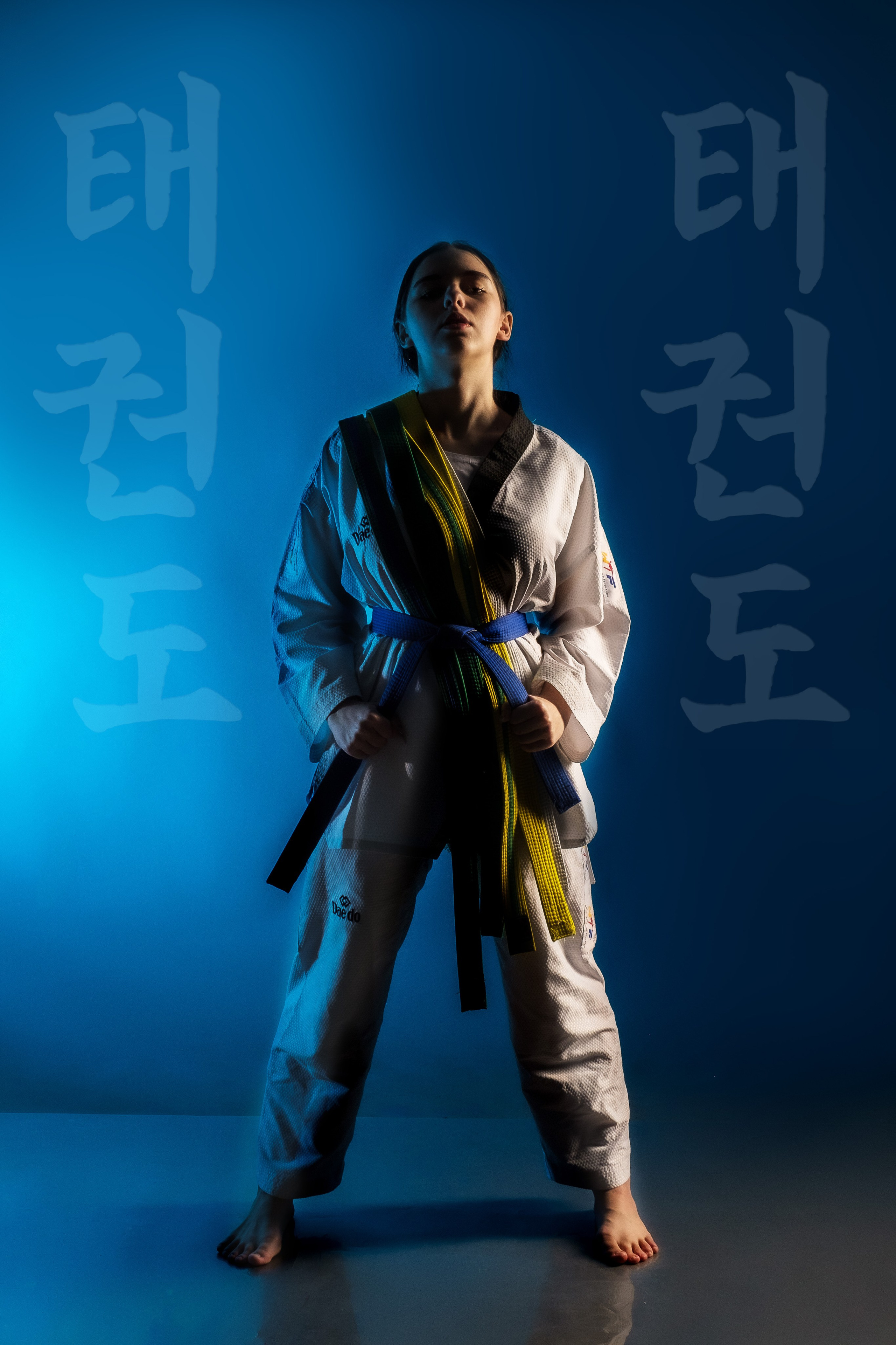 Тхэквондо фото