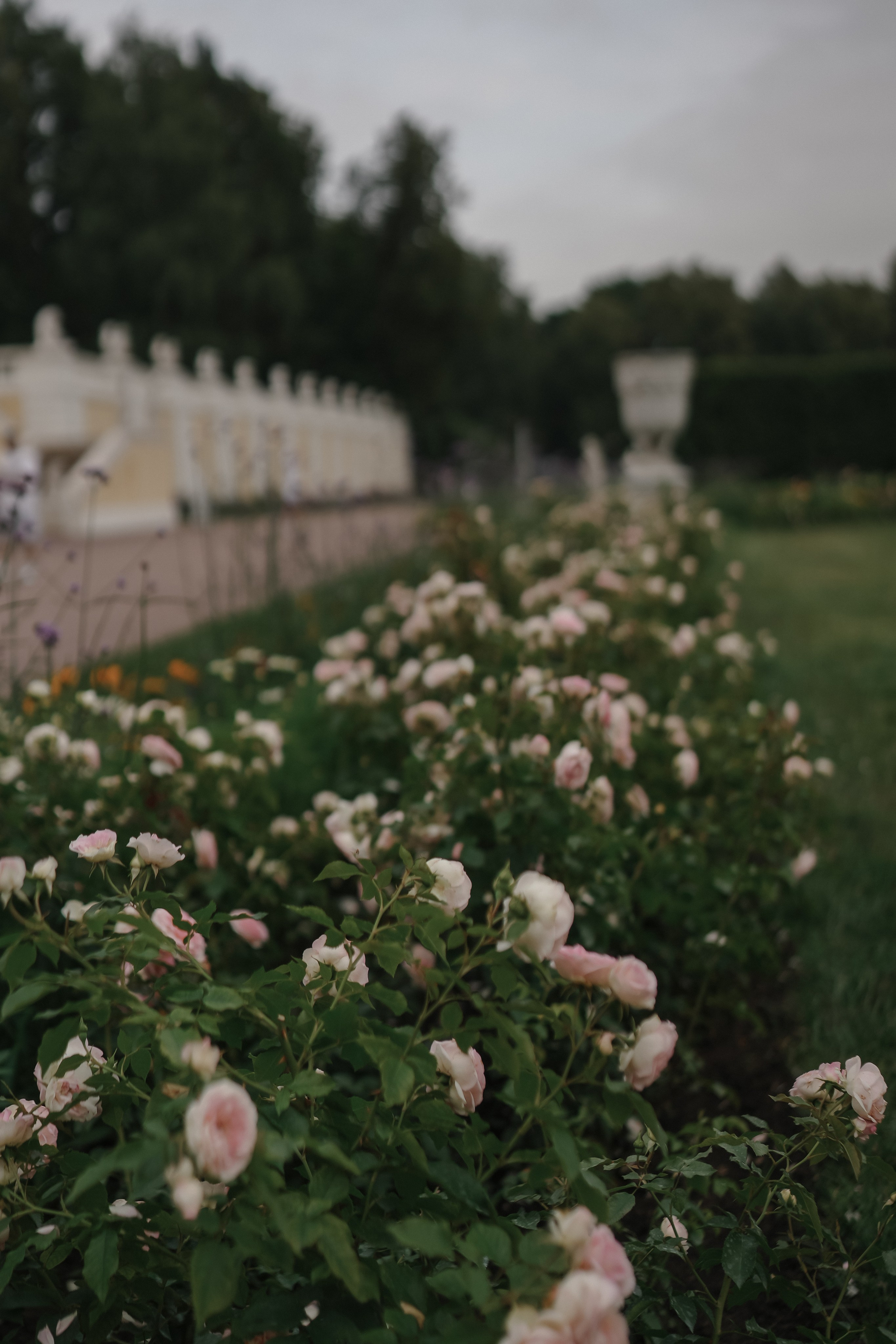 Галина и Алексей. Фотограф Москва Татьяна Гайдаржи