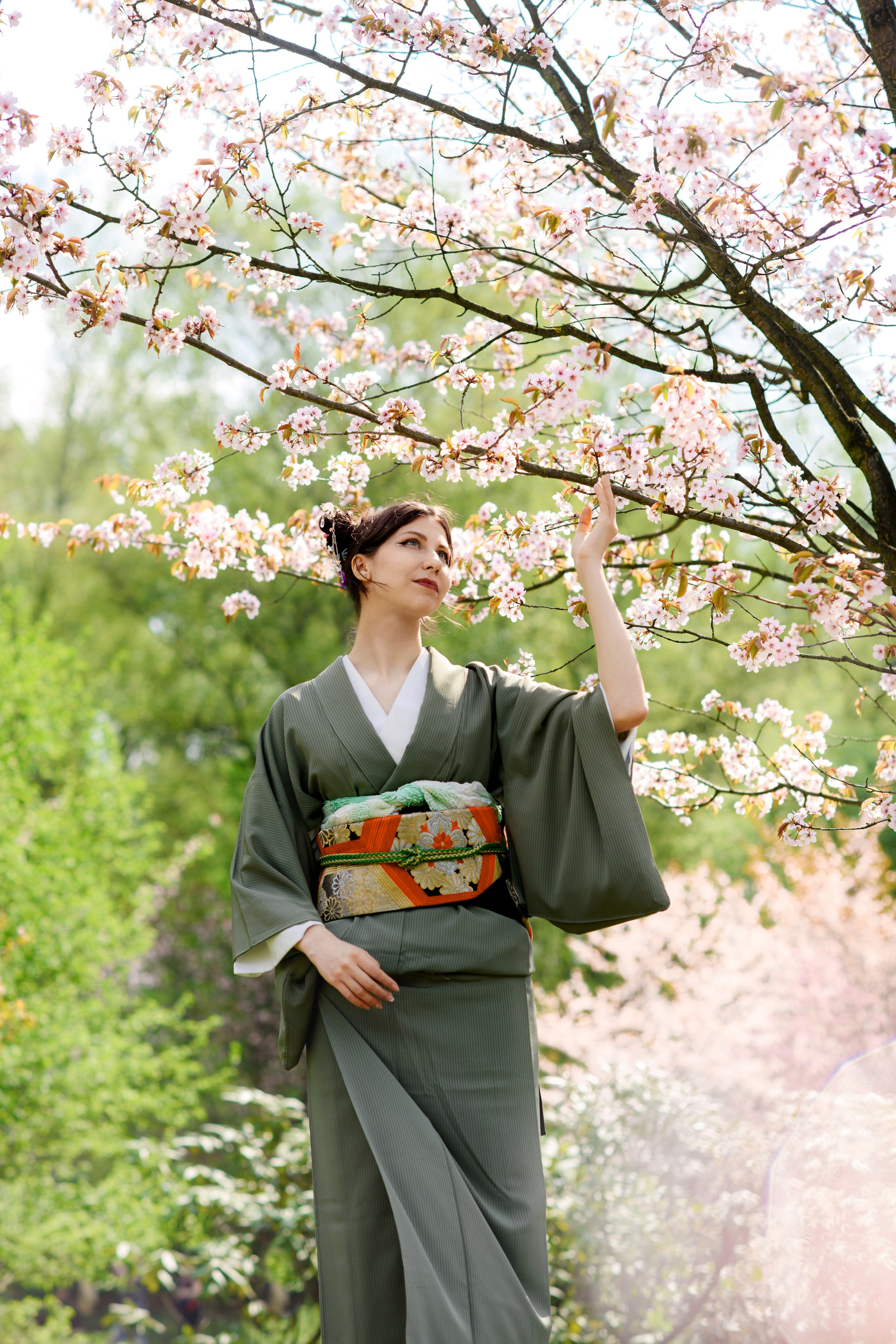 Любование цветением сакуры в Японском саду. Главная