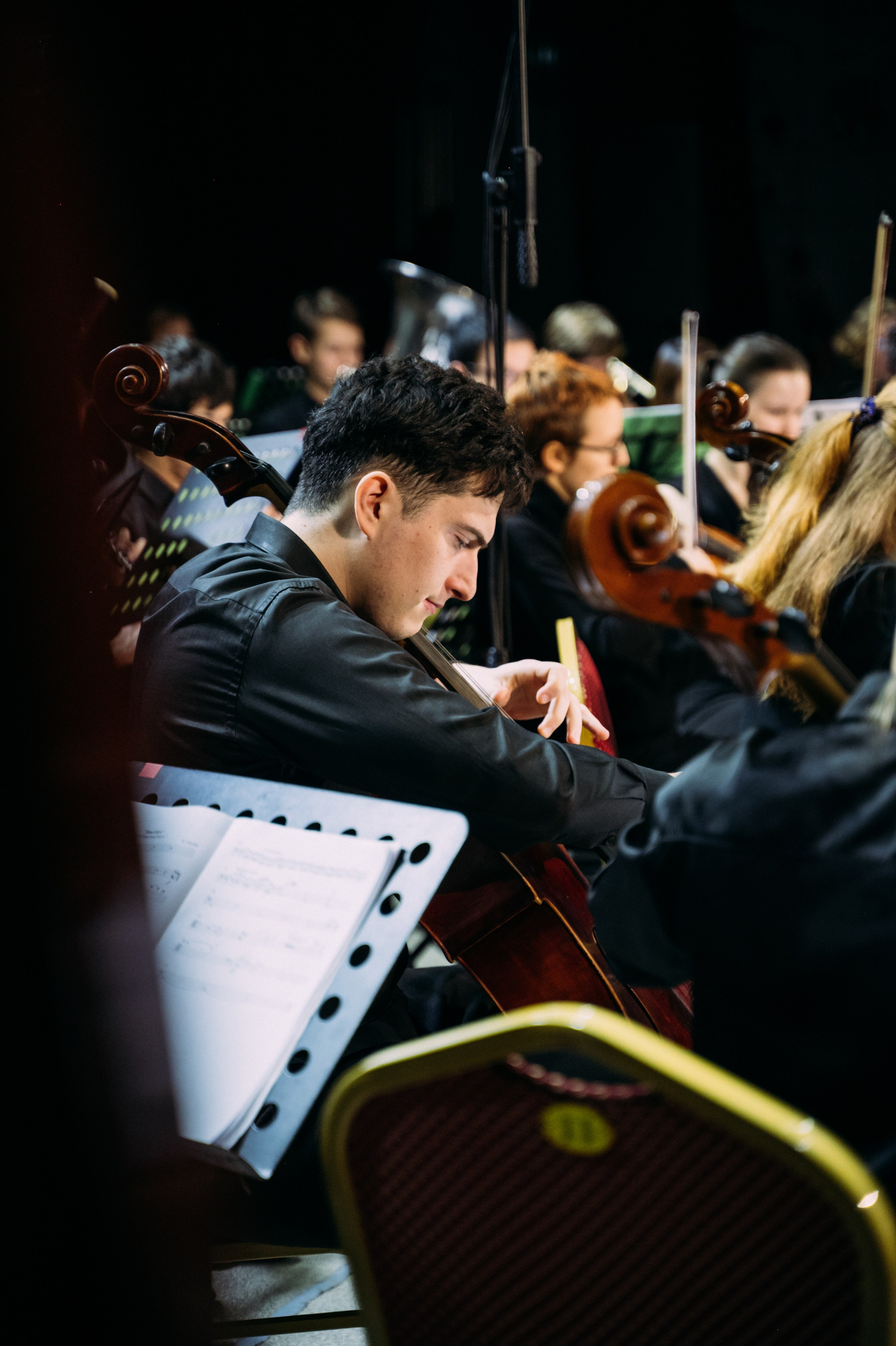 Симфонический оркестр. Фотограф в Волгограде Марина Черных