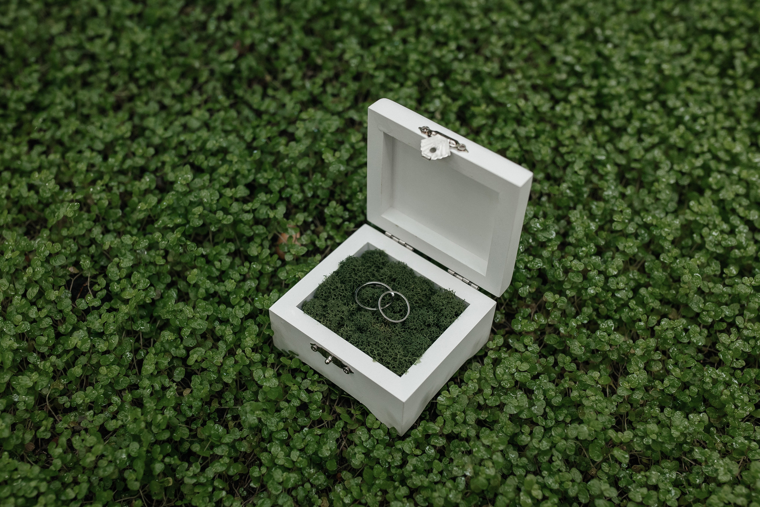 Свадебная фотосессия в Старой фондовой оранжерее Ботанического сада