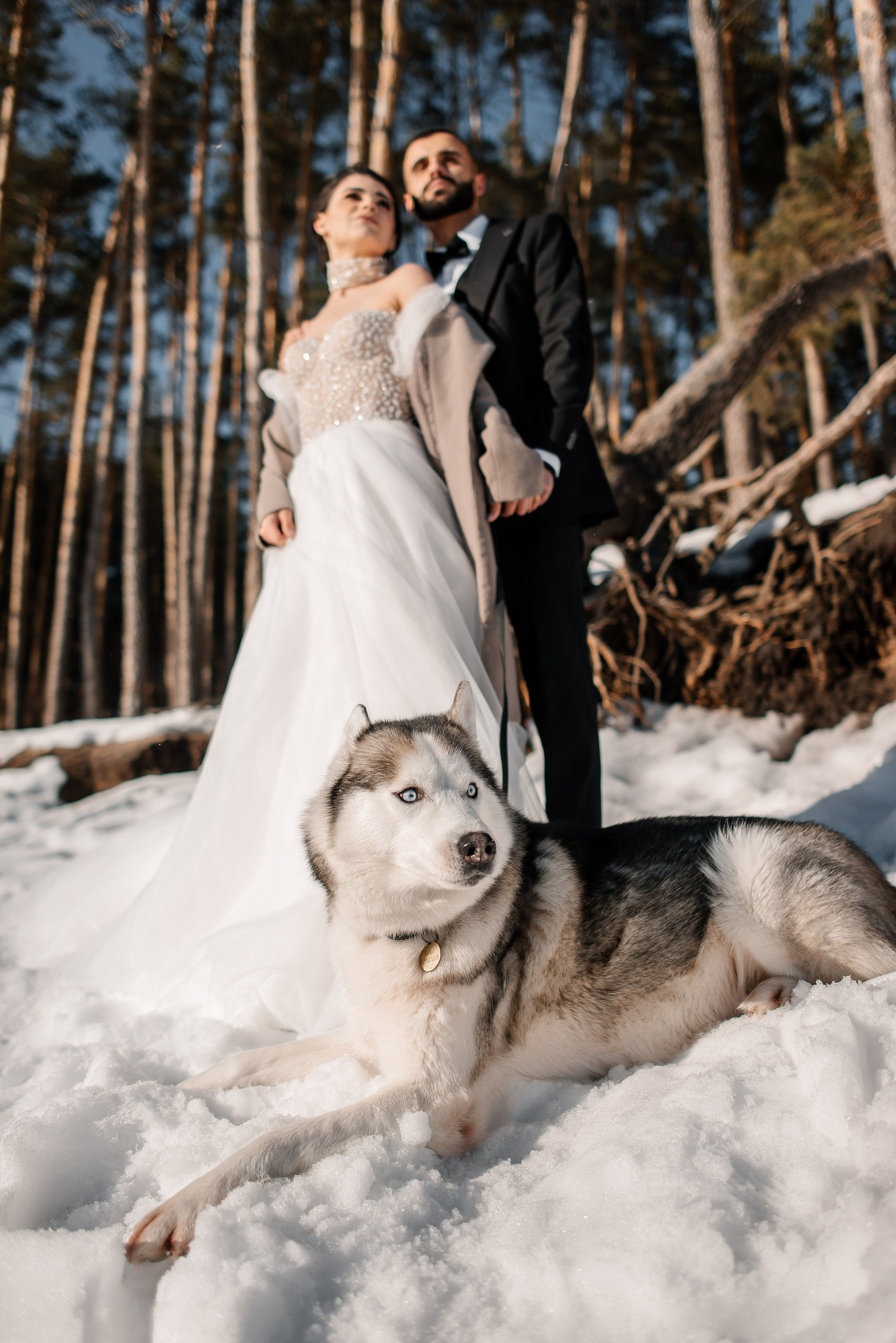 Вусал и Афсана. Свадебный фотограф Курск Артем Духтанов