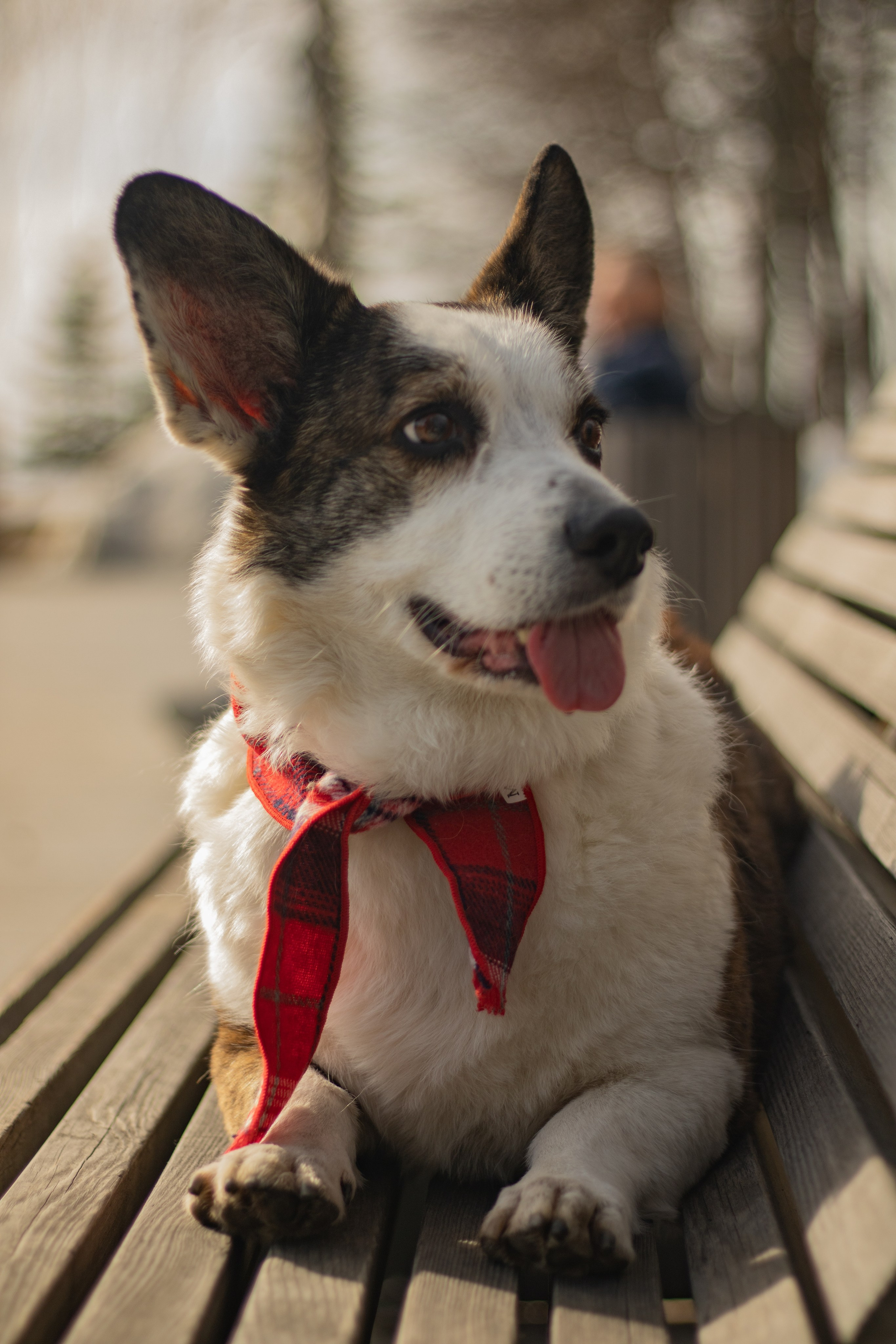 Юлия и Тэя. Катя Попова|ЛайфСтайл фотограф
