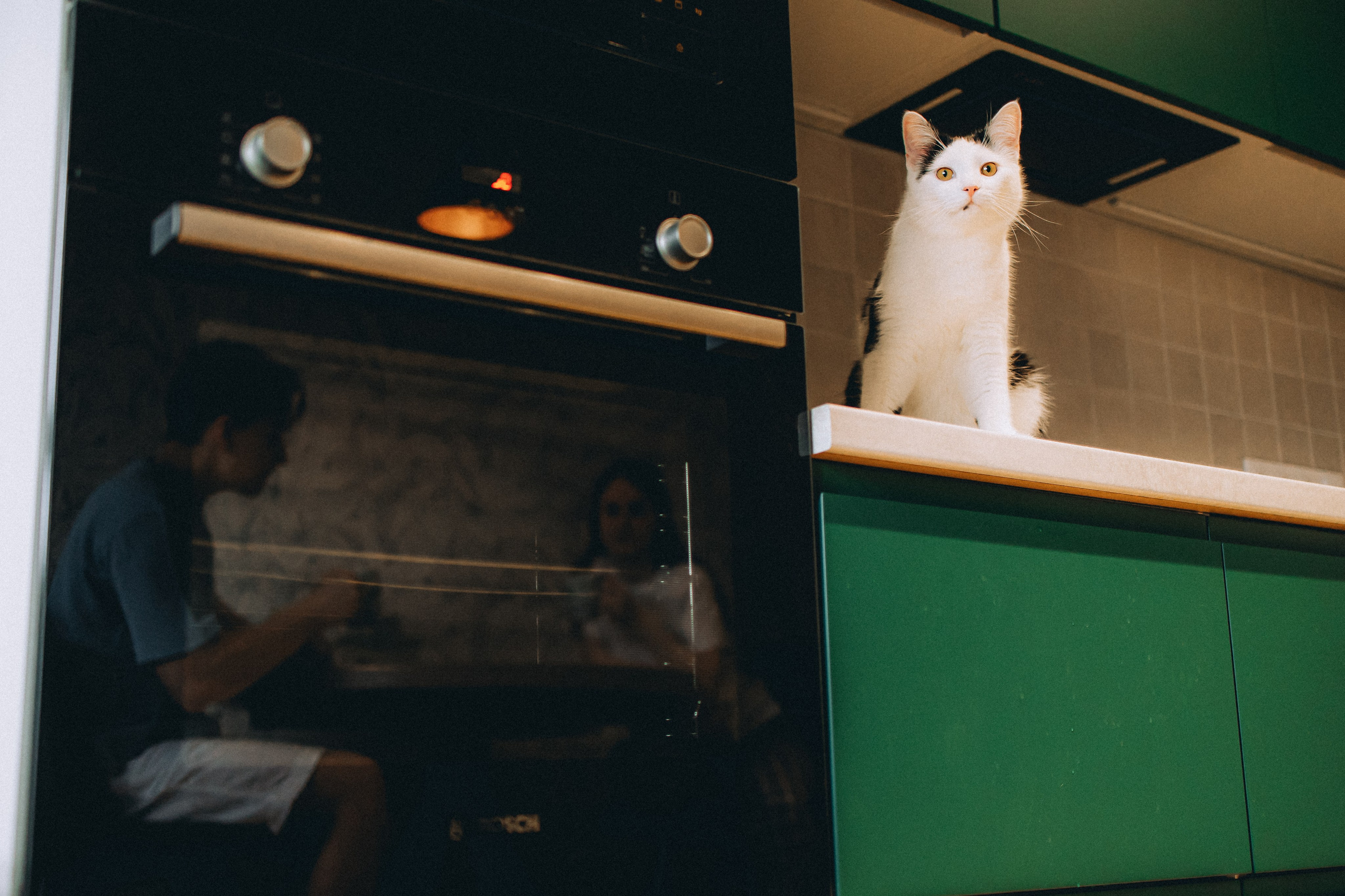 Рыся, Кепа и их семья