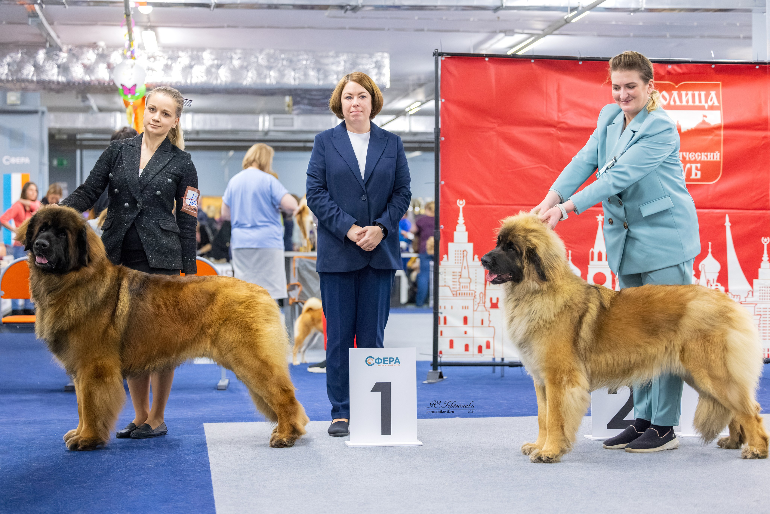 Сфера 17.03.2024. Фотограф-анималист Юлия Германика