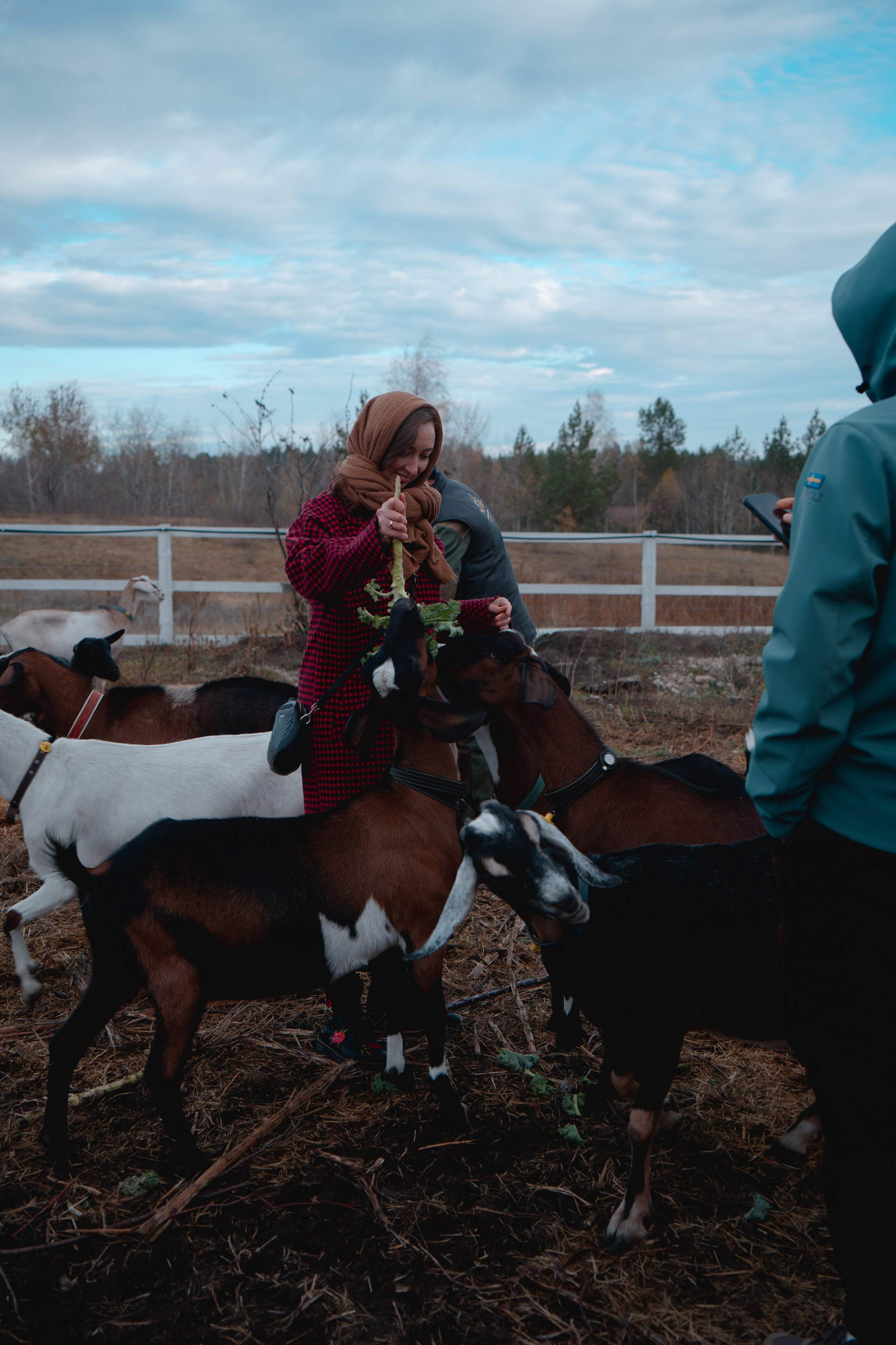 Ферма Основание. Фотограф г. Тольятти