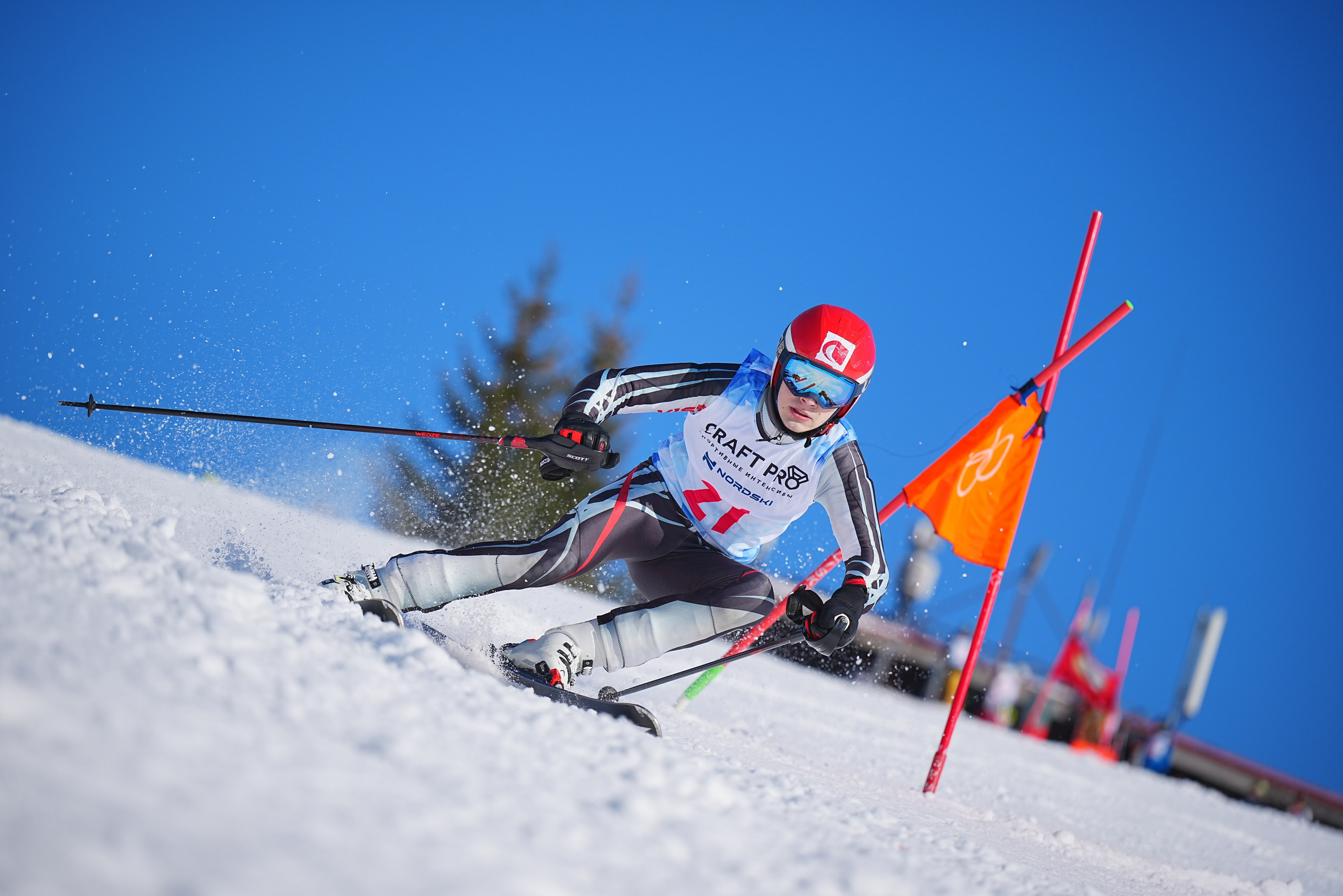 Шуколово. Открытое Первенство МФТИ по горным лыжам. GS, Telemark, 2024. Фотограф Студитский Евгений