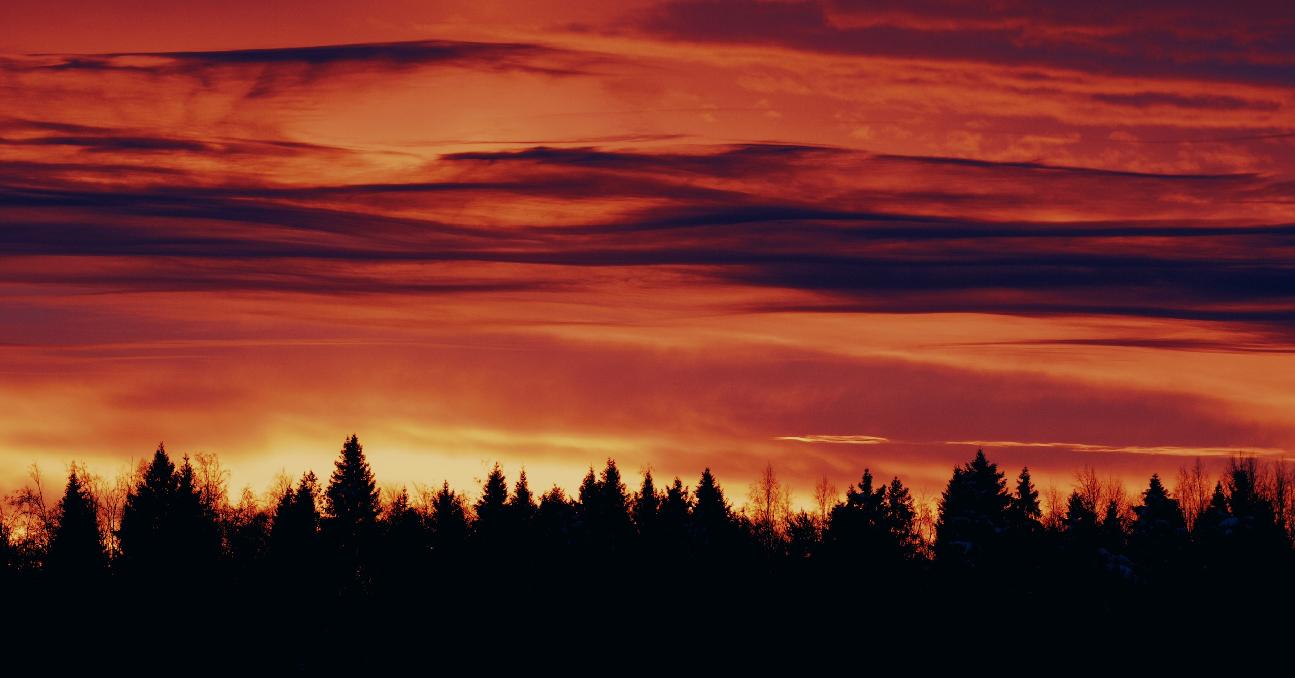 Фотограф-любитель из Кирова Андрей Погребняк