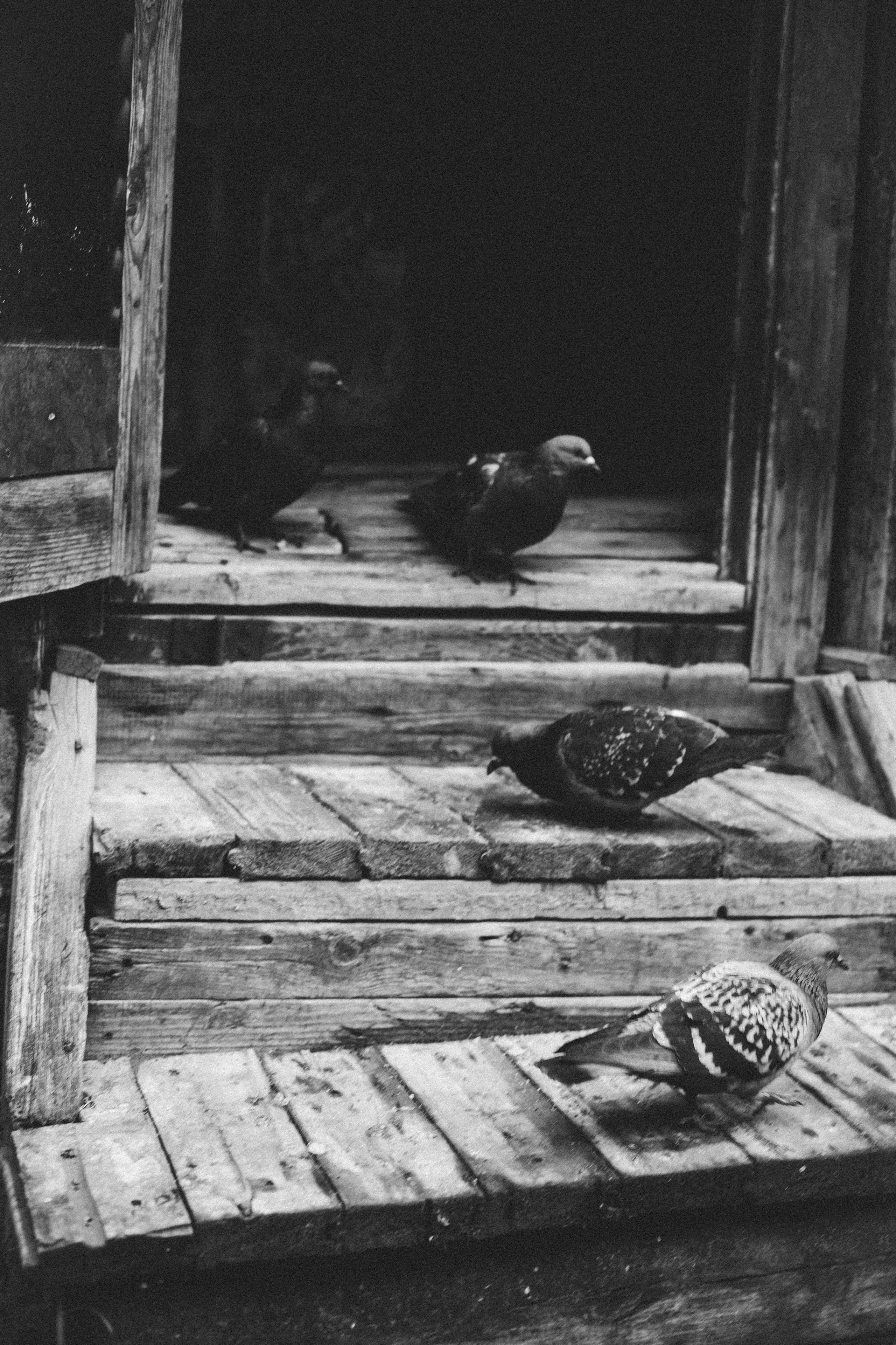 Г О Р О Д. Фотограф в Нижнем Новгороде