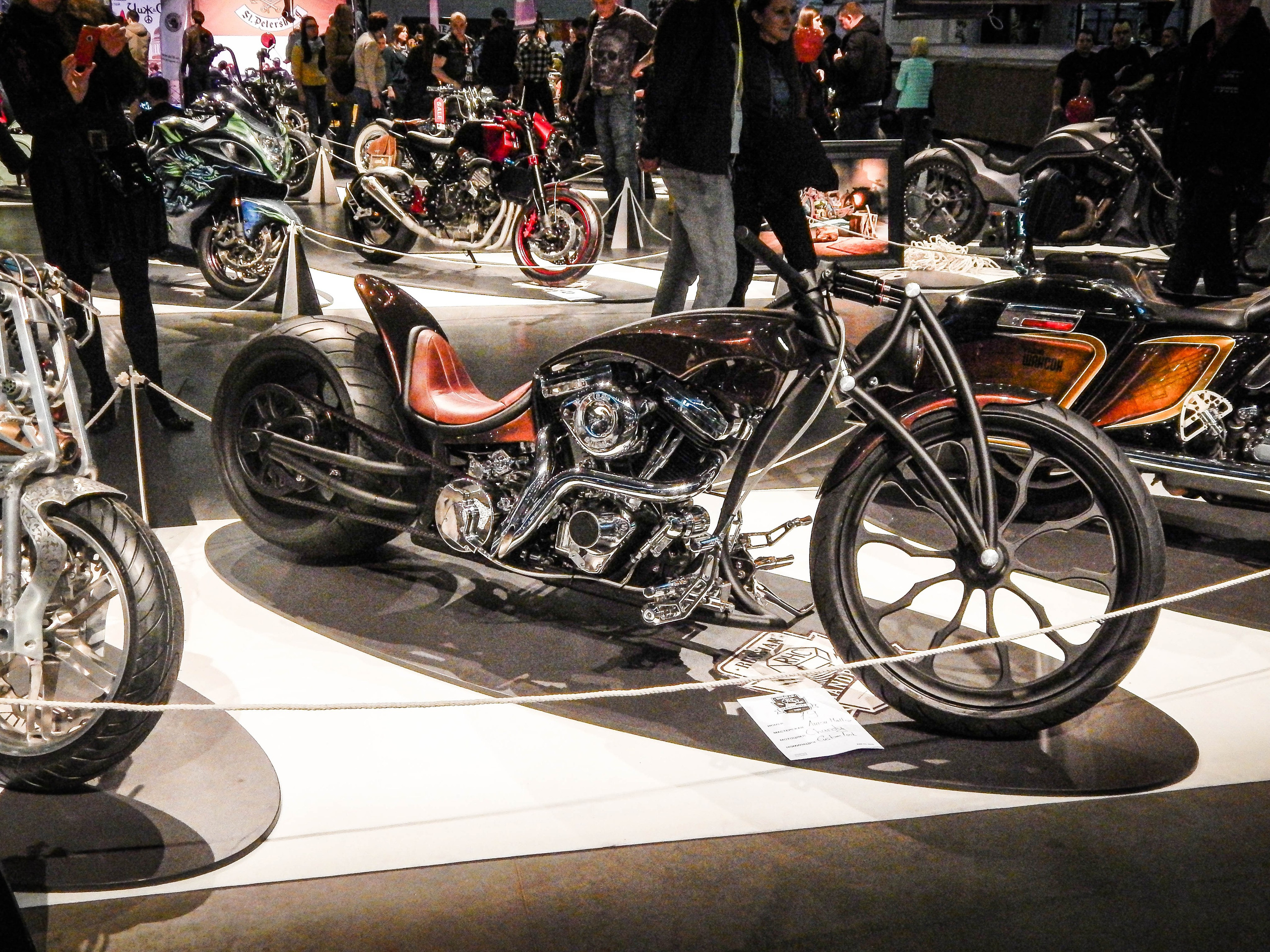 IMIS 2019. Александр Попов