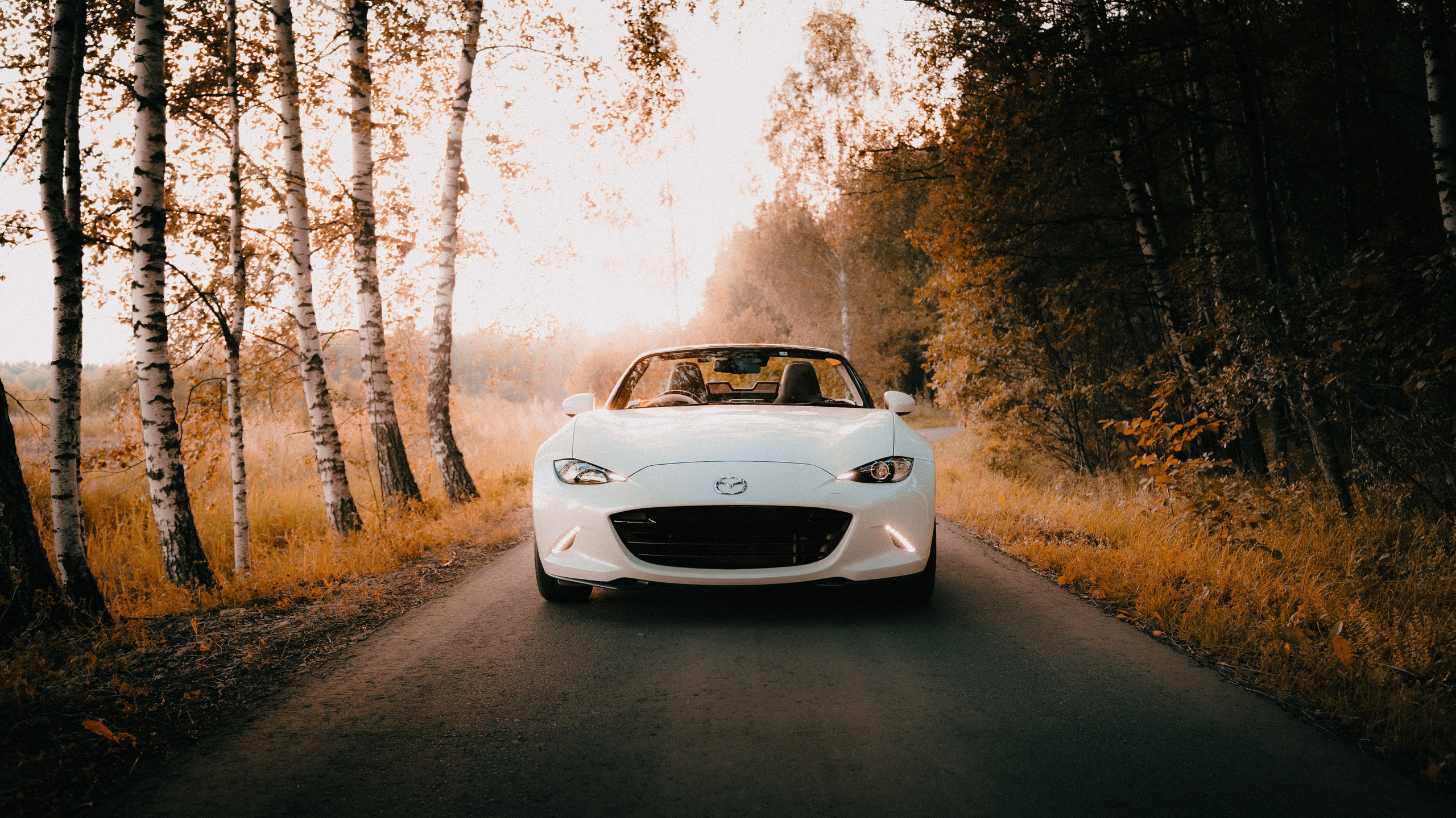 Double Yata. Ilya Foxy — автомобильный фотограф