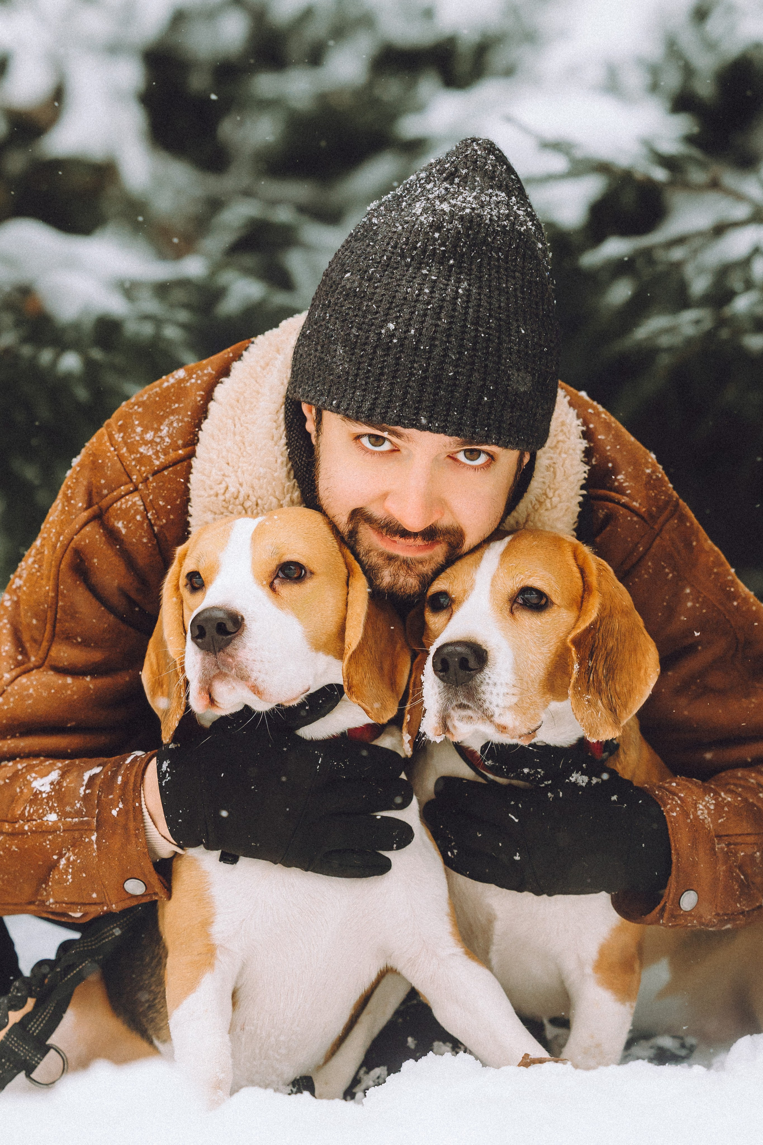 Роман, Портер и Коррес