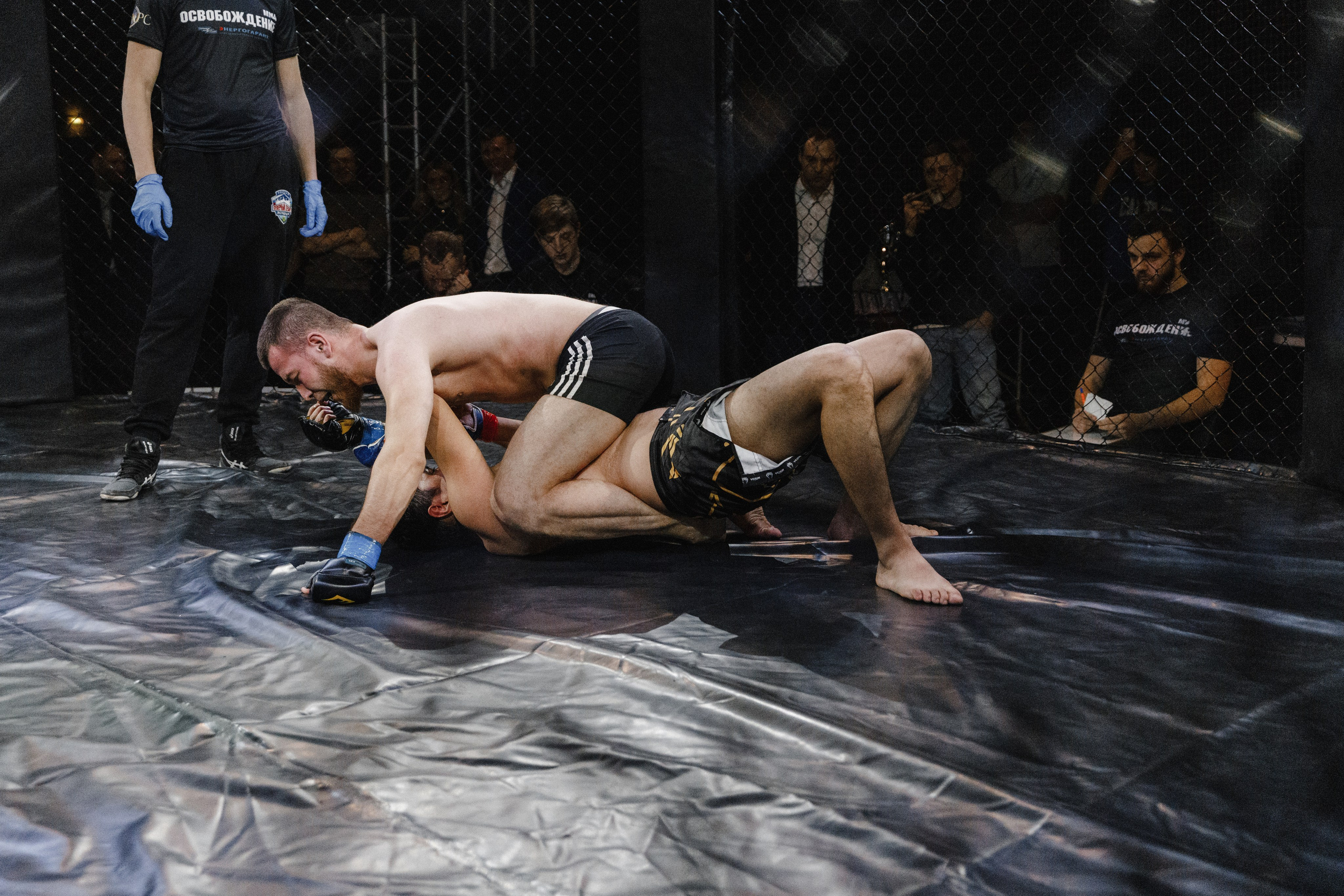 Турнир по ММА «Освобождение» 2023 г. Истра. Свадебный фотограф Фадеева Алёна