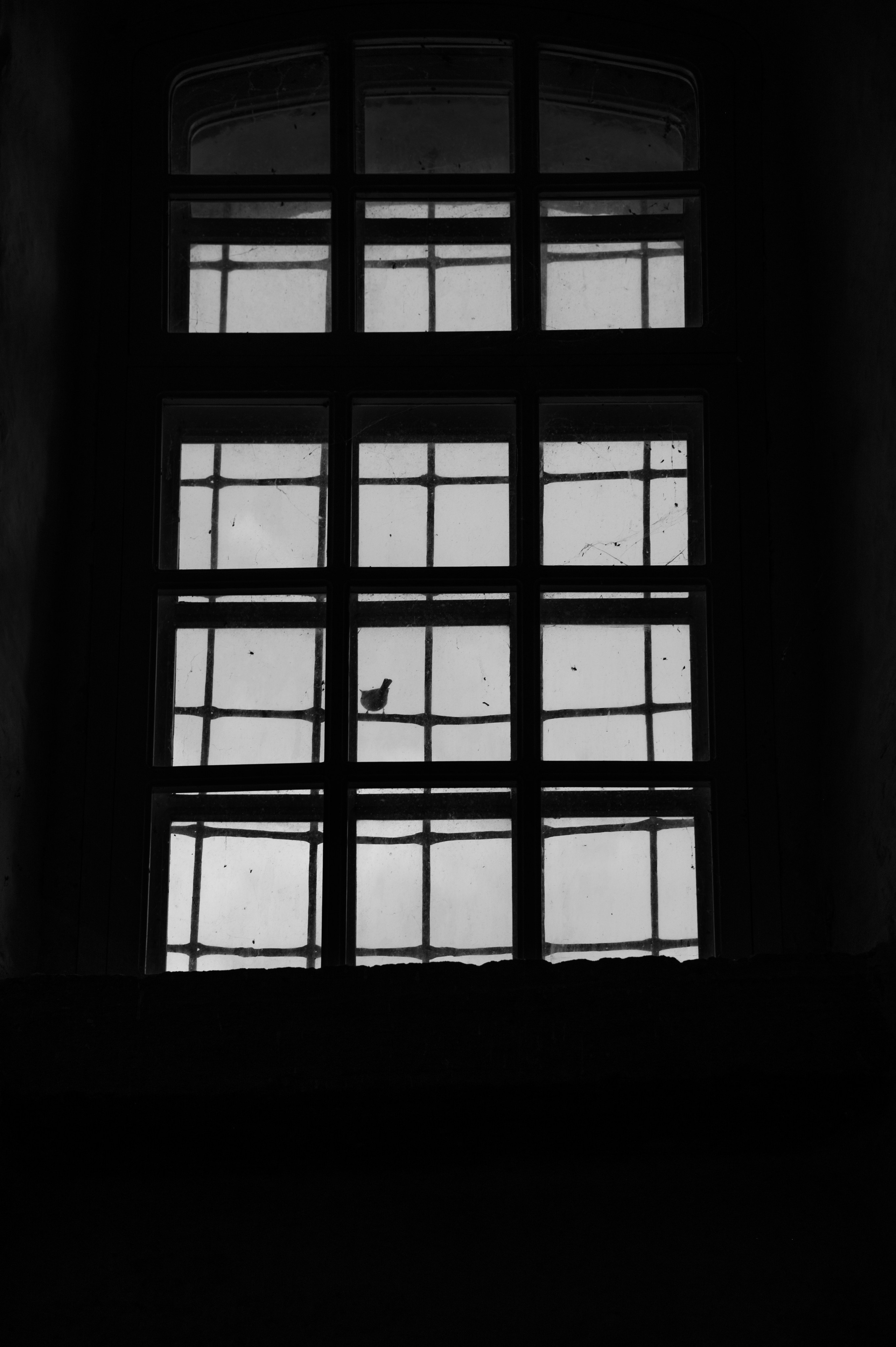 Суздаль. Май 2023. Фотограф Роман Адлер