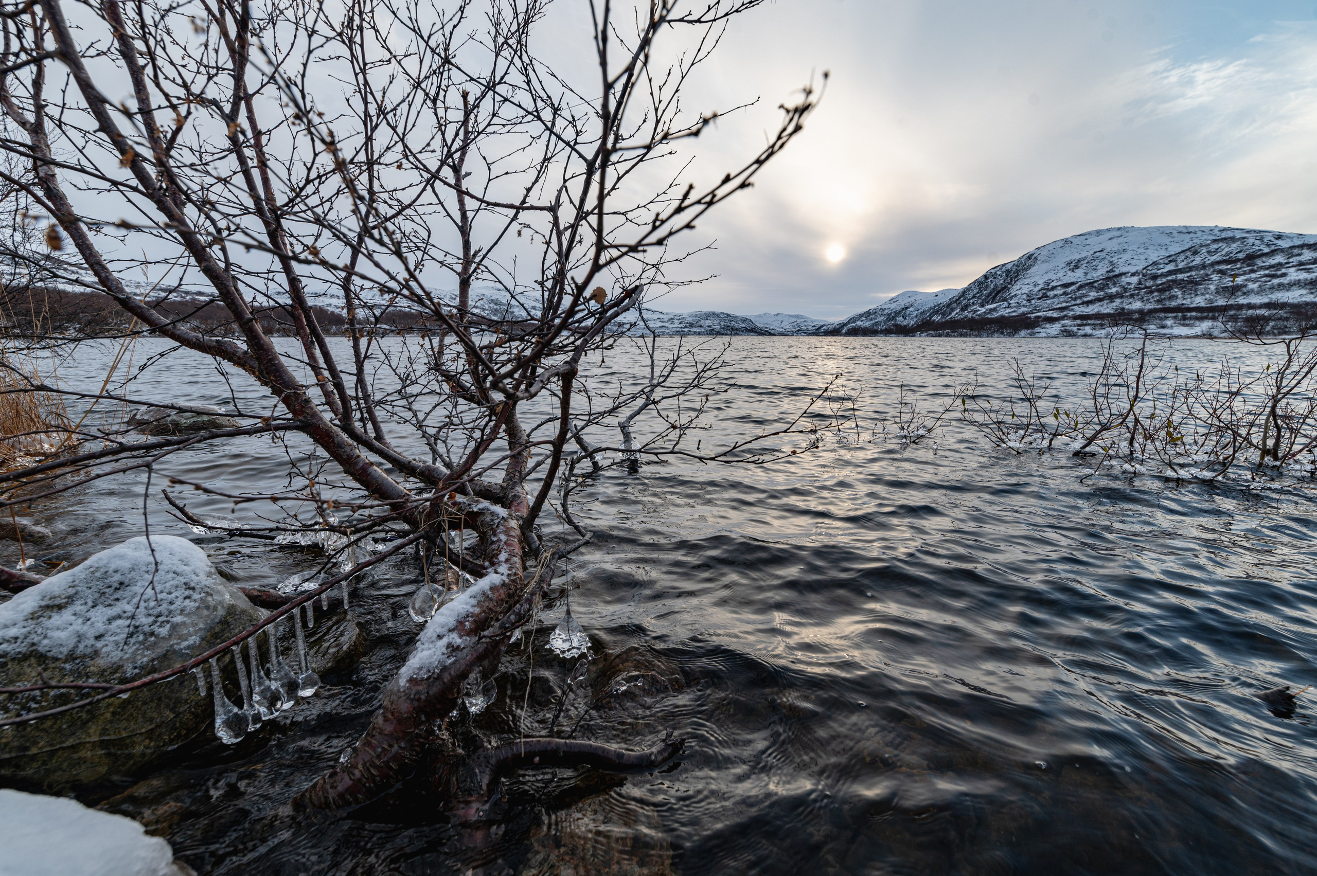 Териберка. Ноябрь 2023. Фотограф Роман Адлер