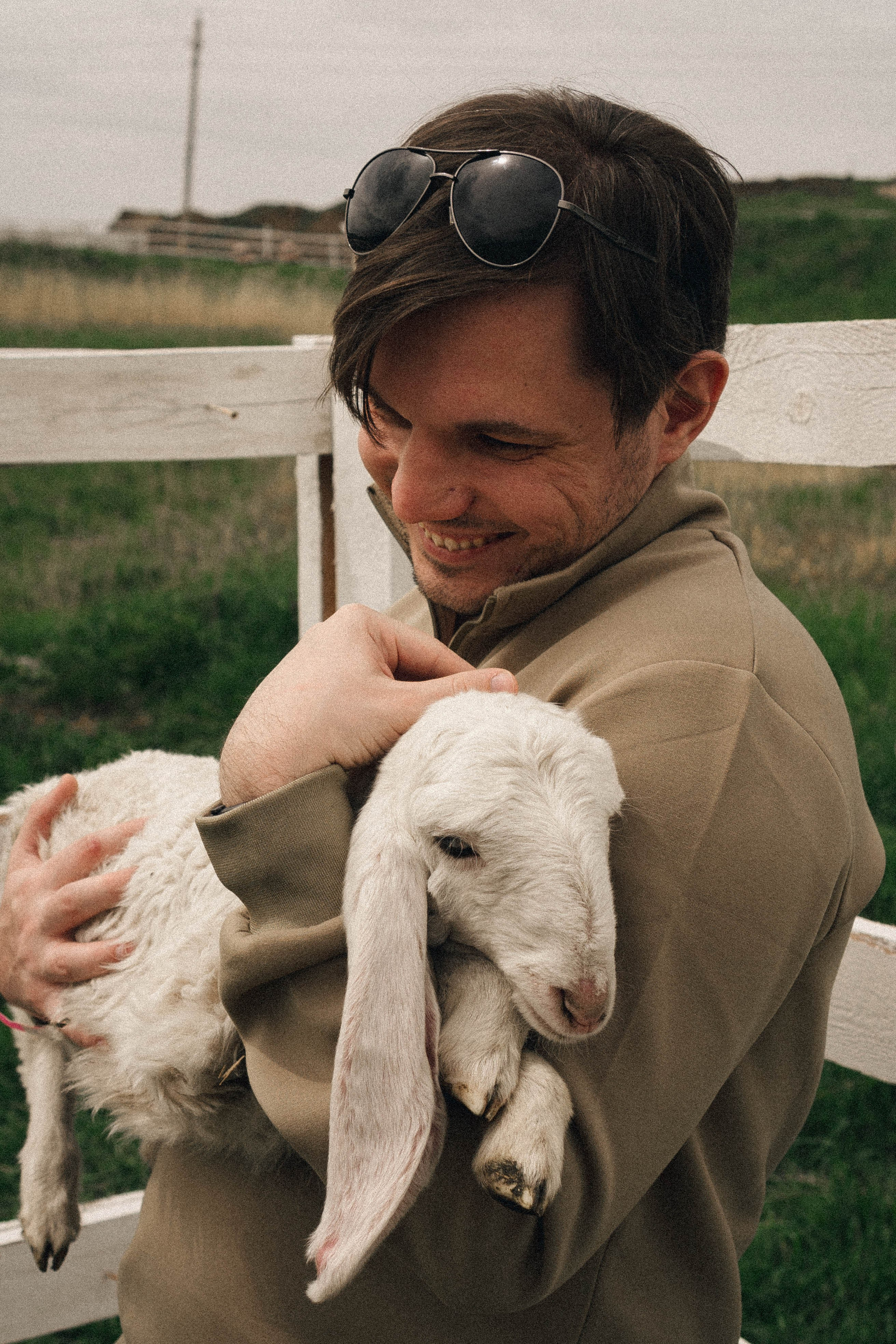 Ферма Альпак. Профессиональный фотограф, Санкт-Петербург — Виктория Богомолова