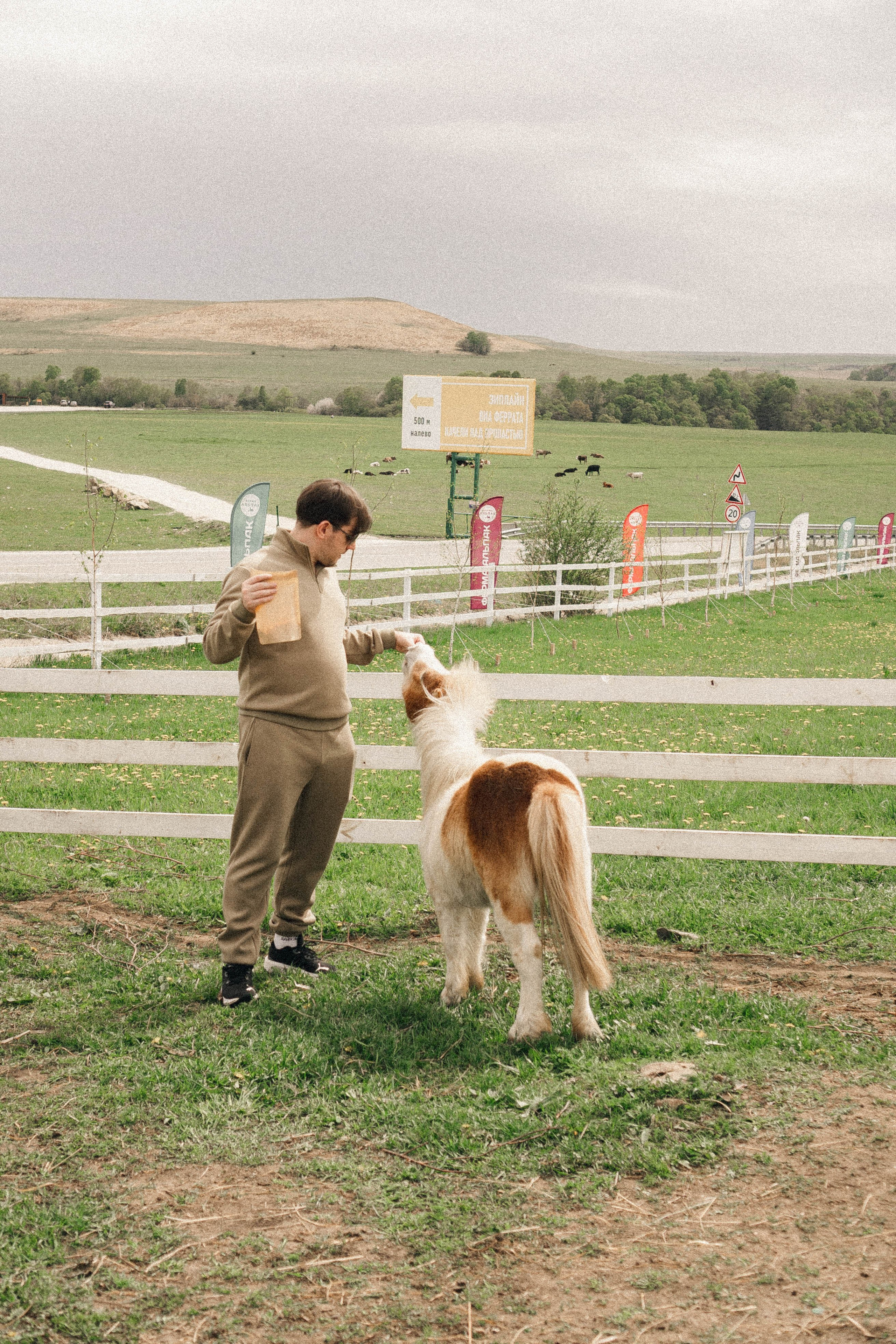 Ферма Альпак. Профессиональный фотограф, Санкт-Петербург — Виктория Богомолова