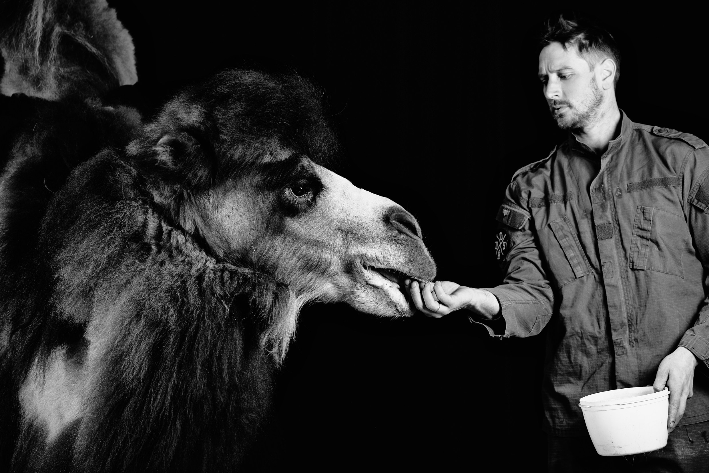 SHUSTOVI/ANIMALS. Sveta GOSHTAUTAS фотограф Пермь