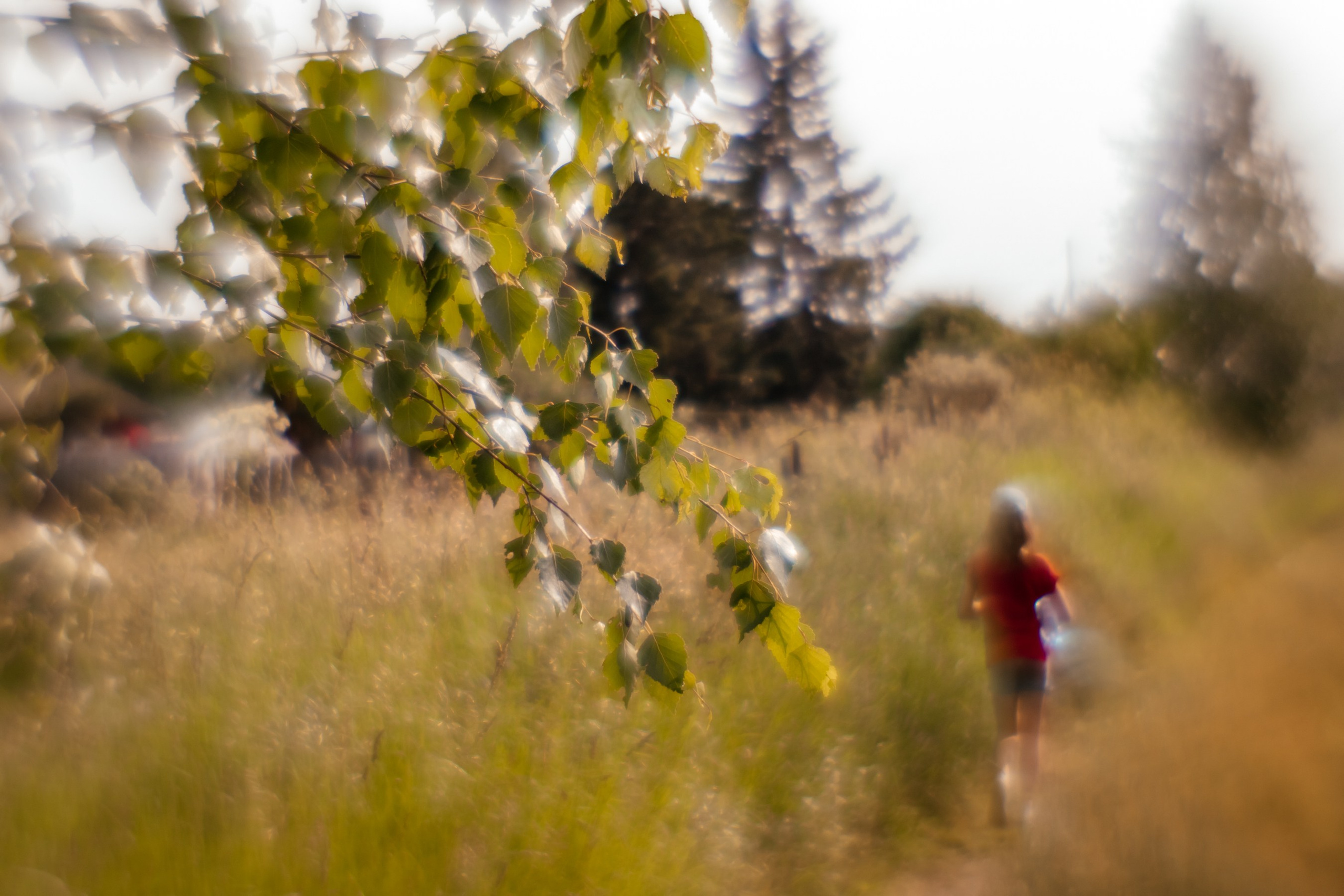 Сны о детстве. Фотограф в Красноярске Оксана Корчагина