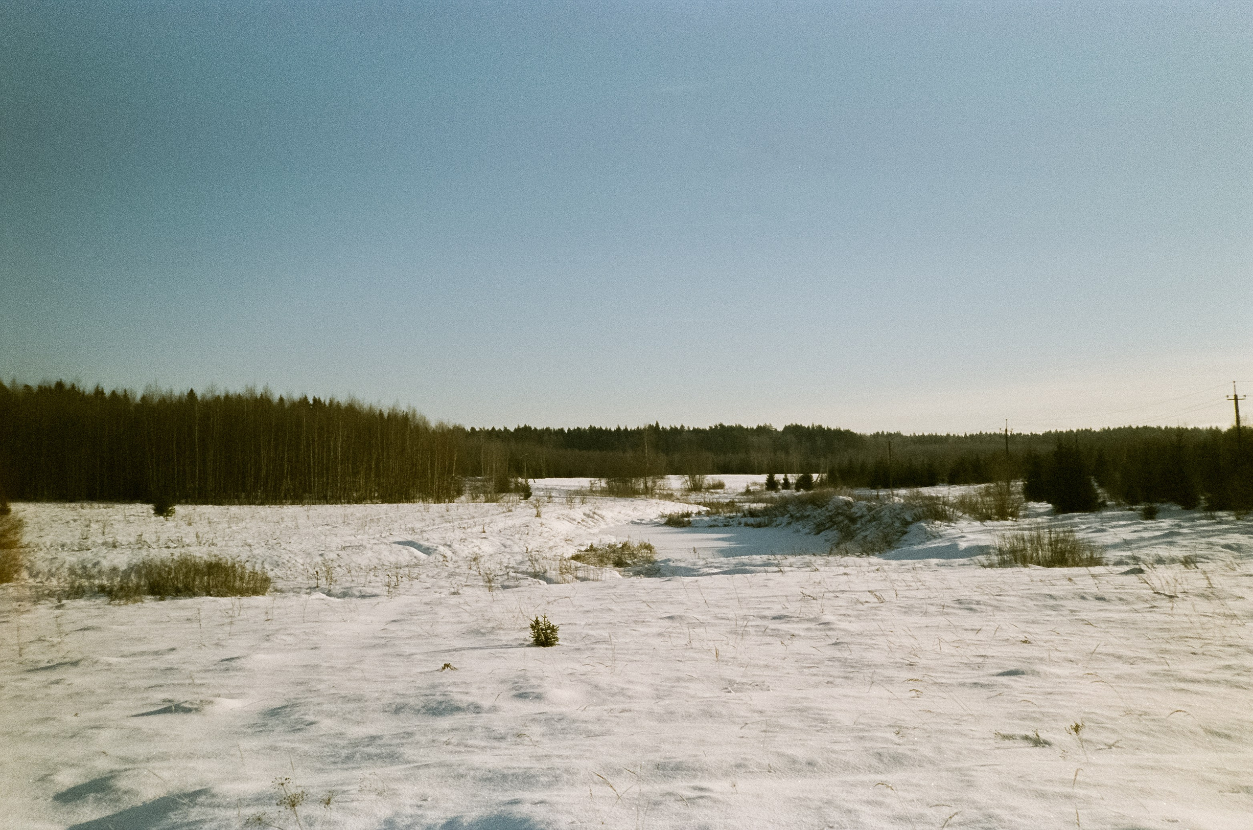Chinon Auto 3001 (2) / Fuji Eterna 250D (ISO 100) / Давыдовское, Лукин