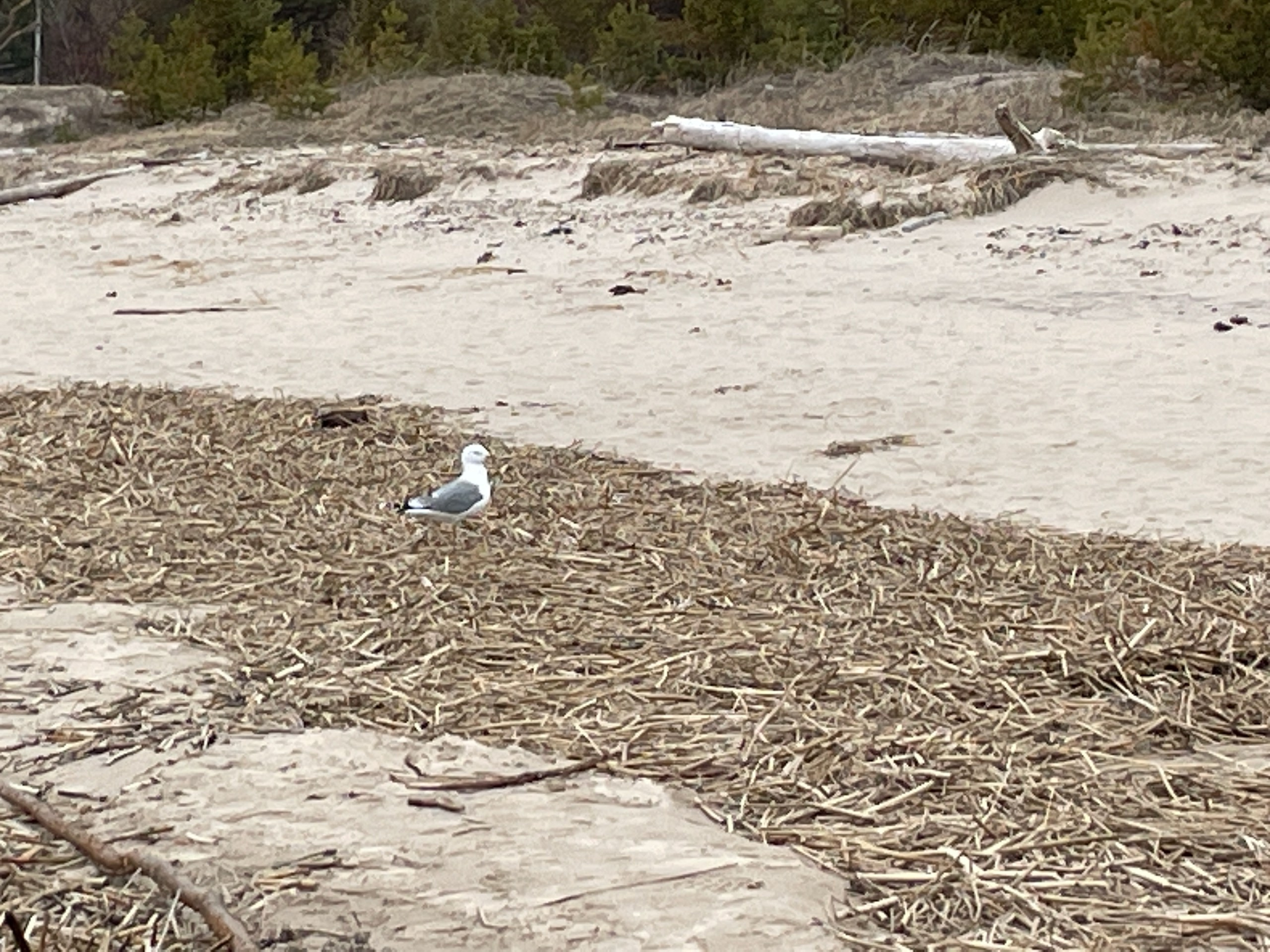 Архангельск | 08.05 — 11.05.2025. Галерея Фантим