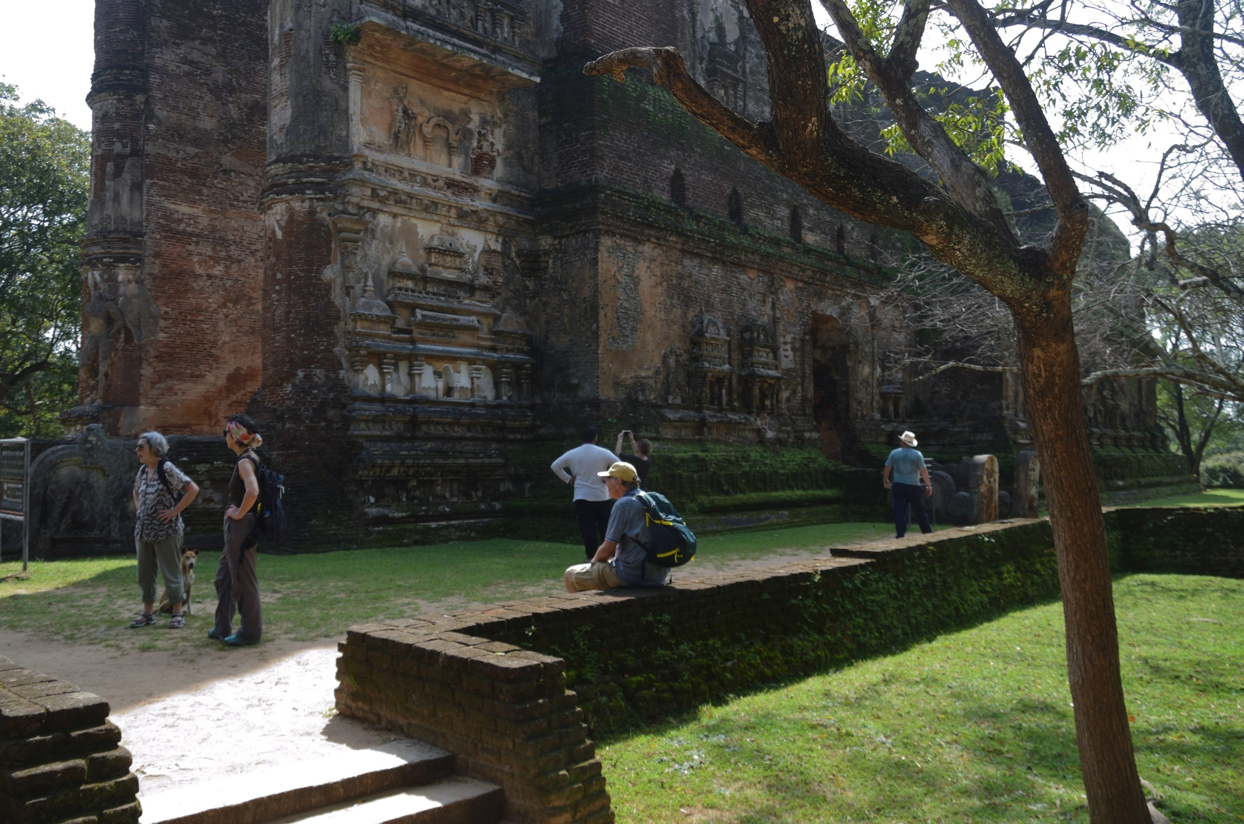 Шри-Ланка | 31.01 — 10.02.2025. Галерея Фантим