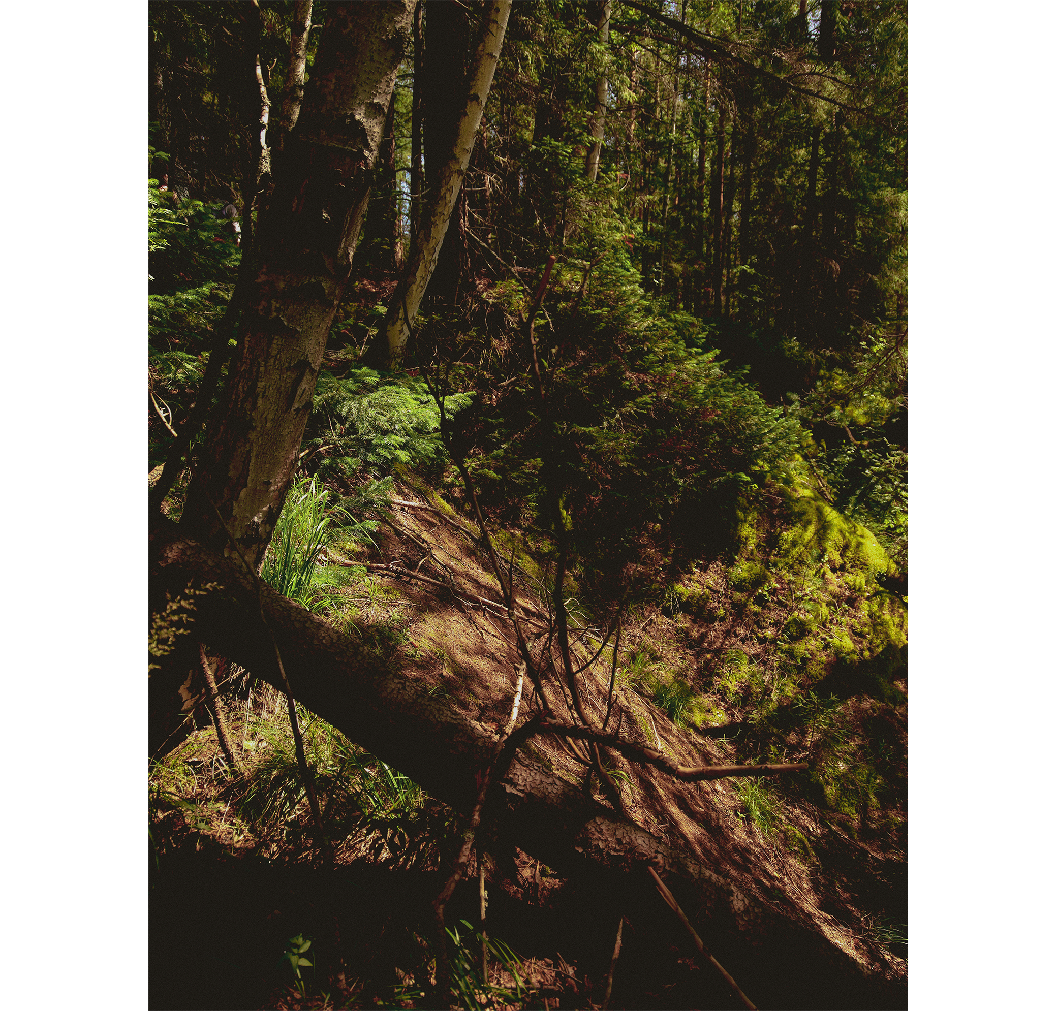 Summer hike. Фотограф/дизайнер в Екатеринбурге Хитрый Дмитрий