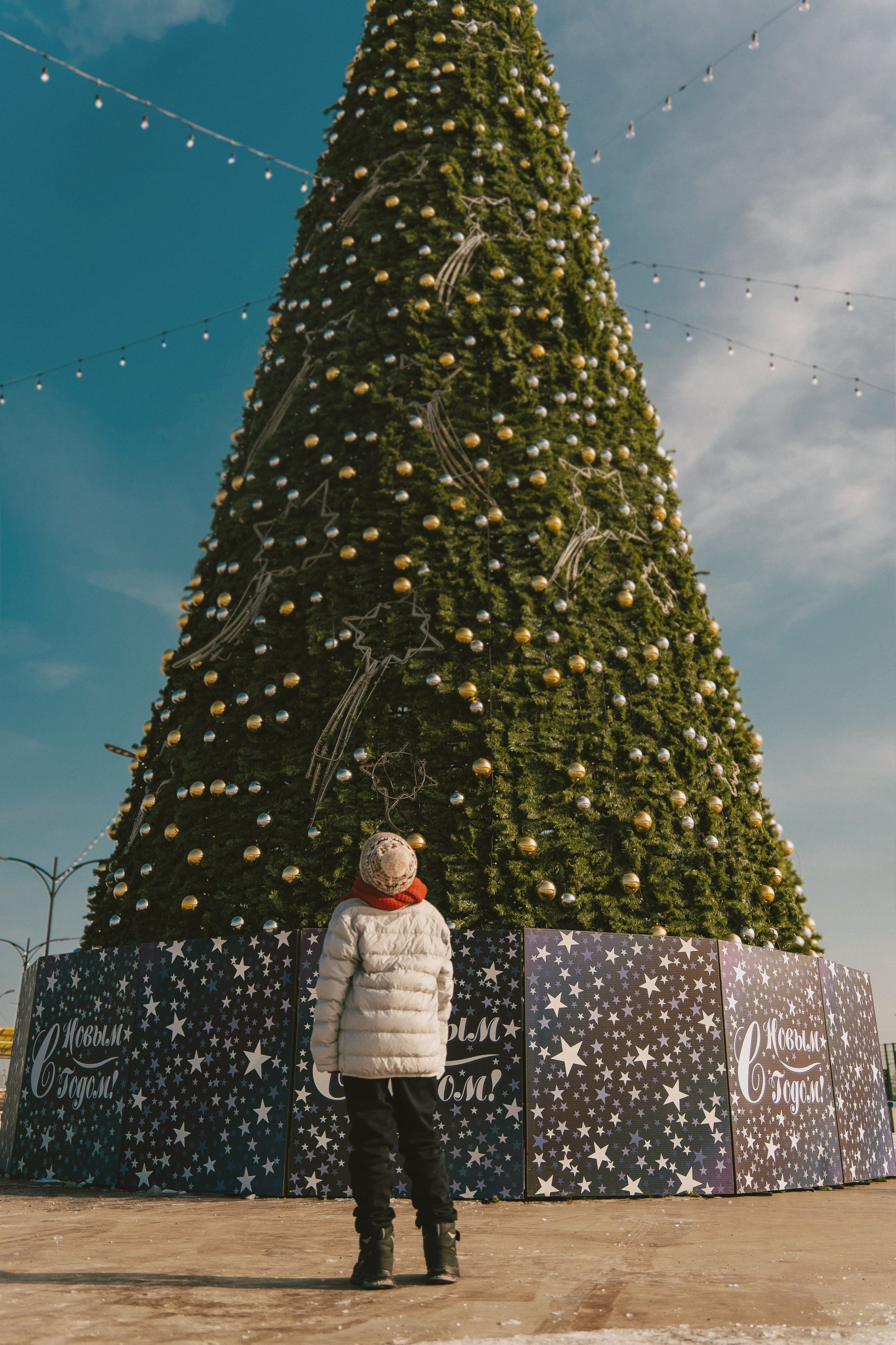 Один дома. Семейный фотограф анималист г. Находка