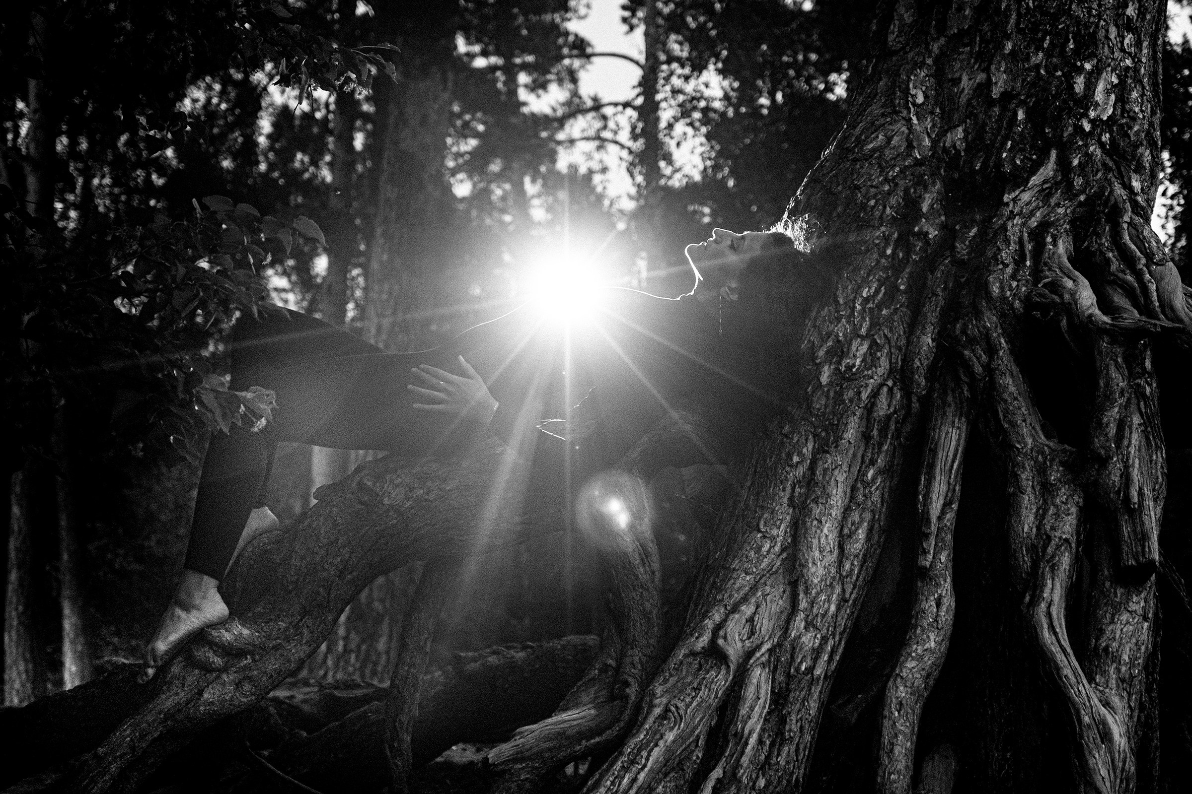 Корни. Свадебные и семейные фотографы в Москве Максим и Оксана Первомай