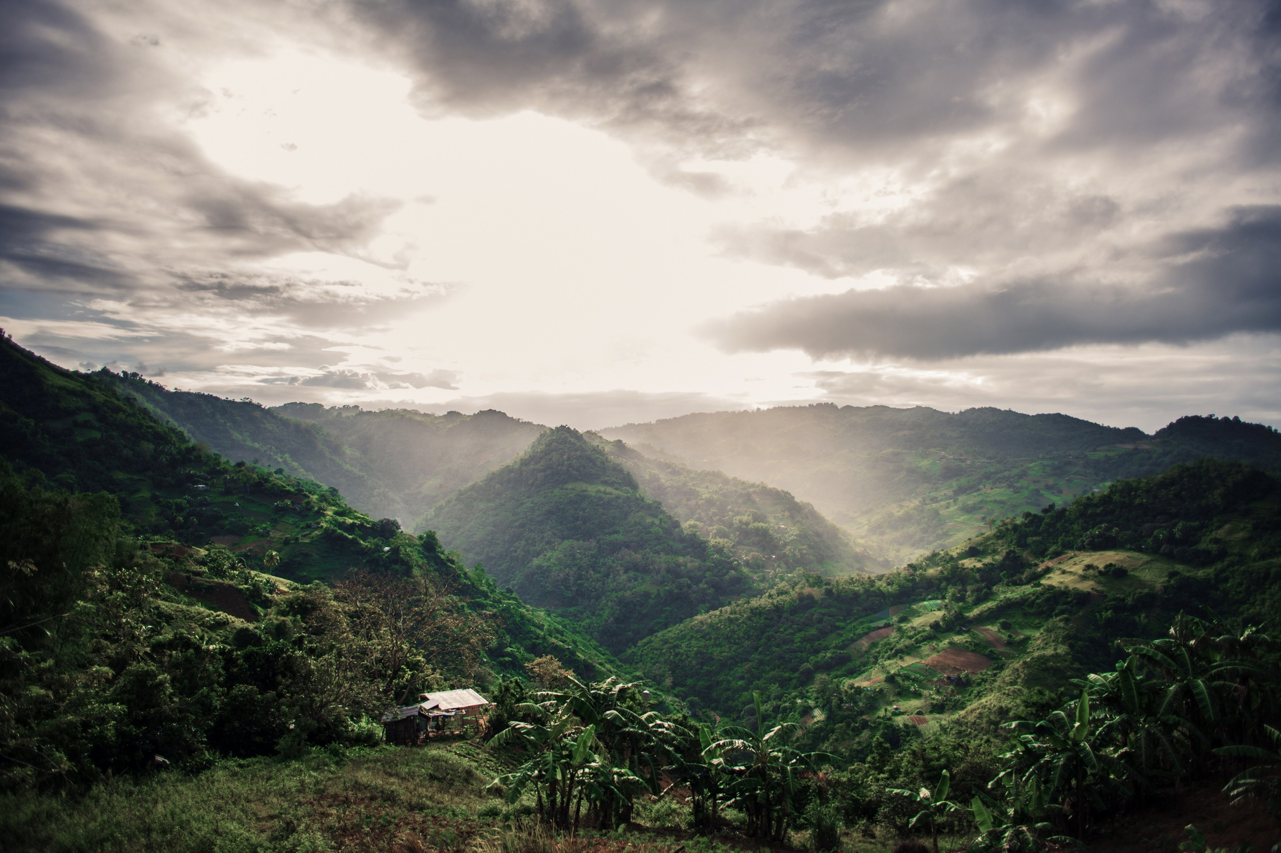 Philippines. Photographer in Tokyo Anatolii Ozarto