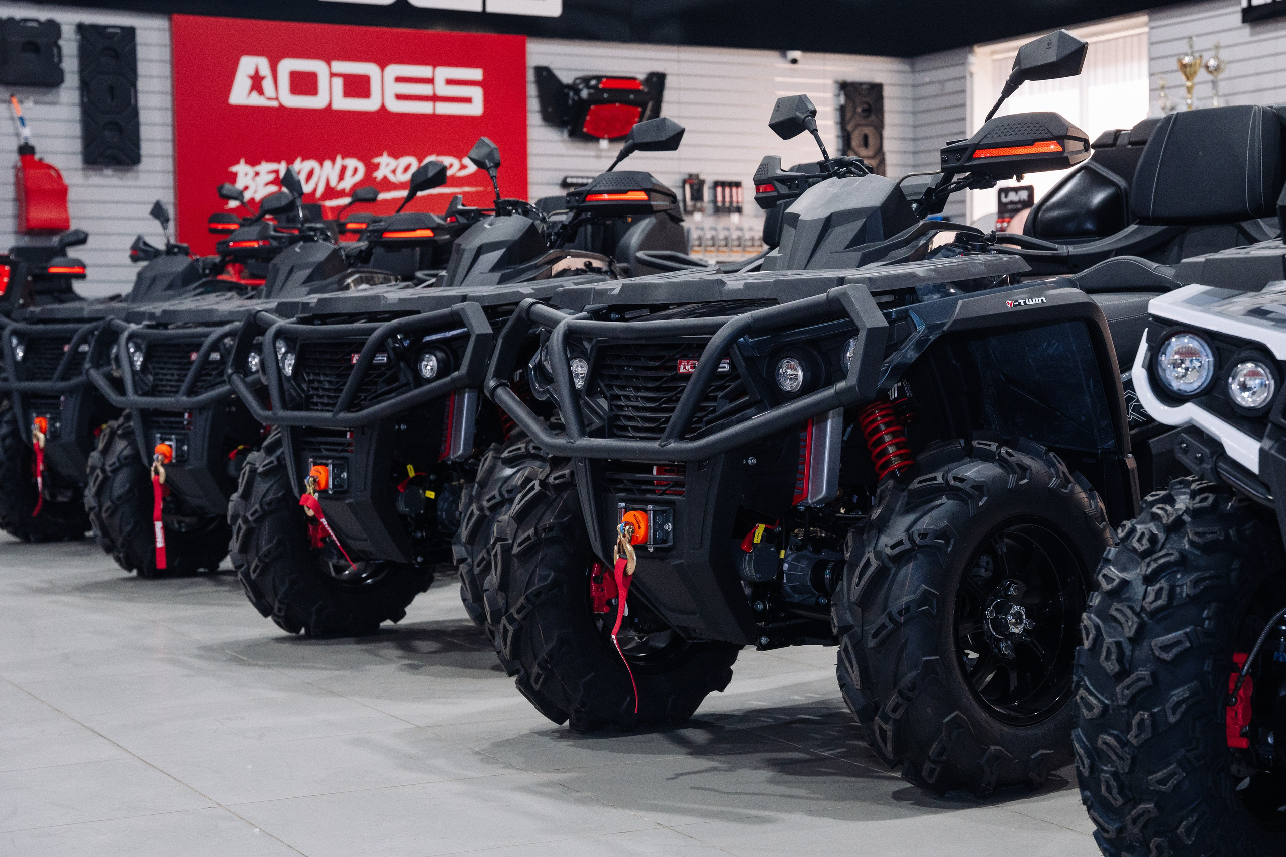 GLADIATOR. Фотограф Хабаровск