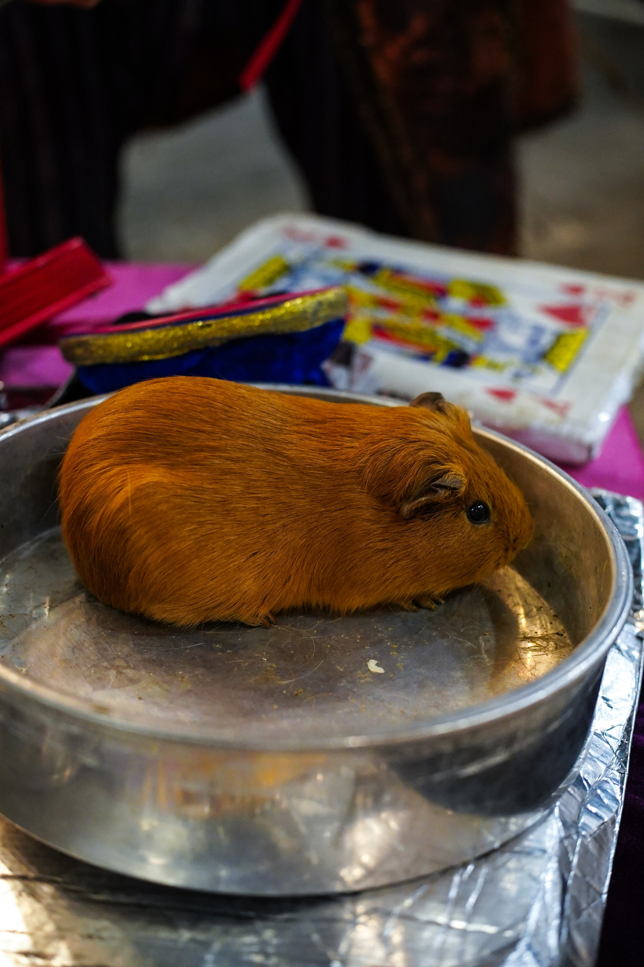 День Рождения Алиса в стране чудес. Фотограф