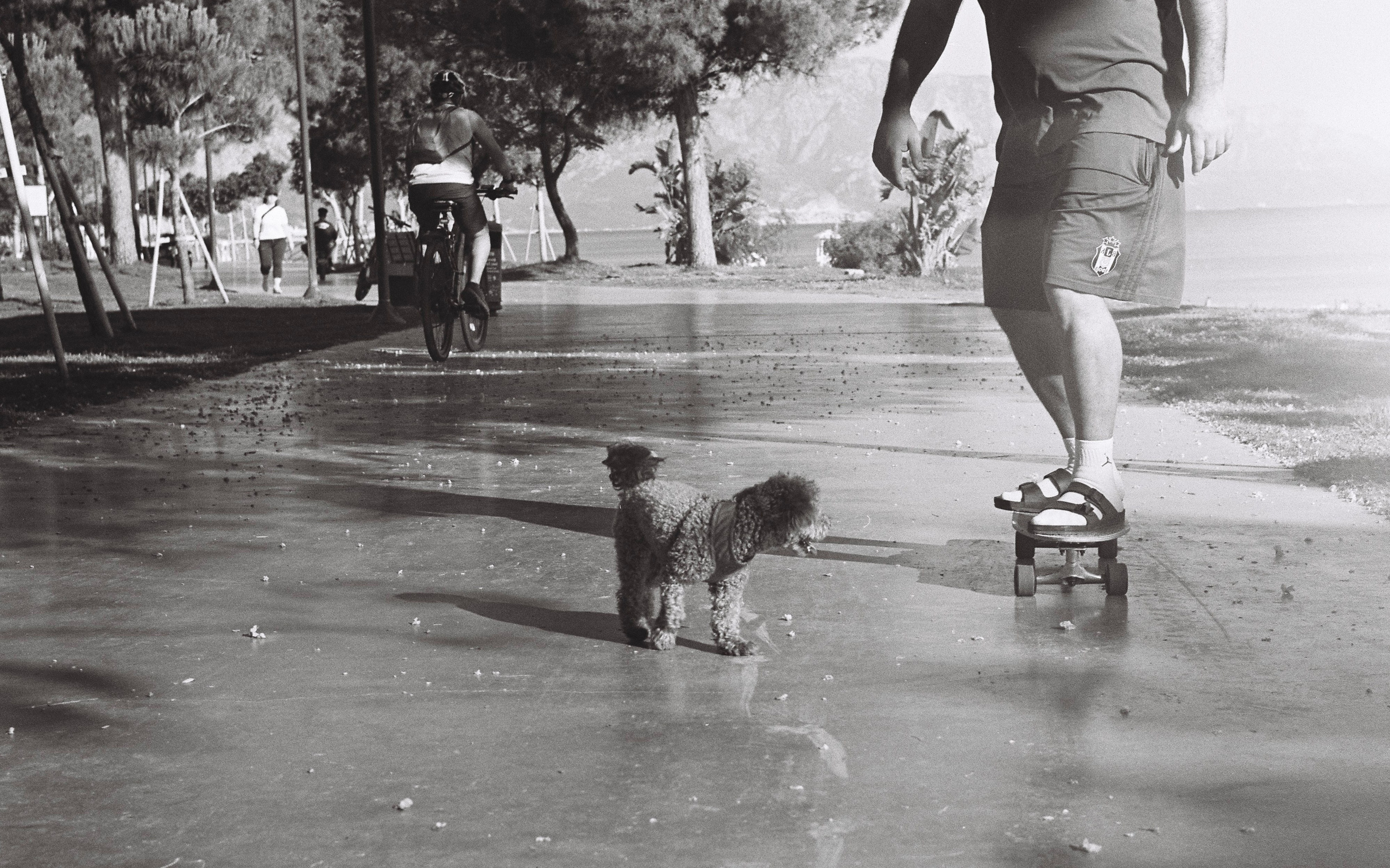 Автор: Дарья Сухих