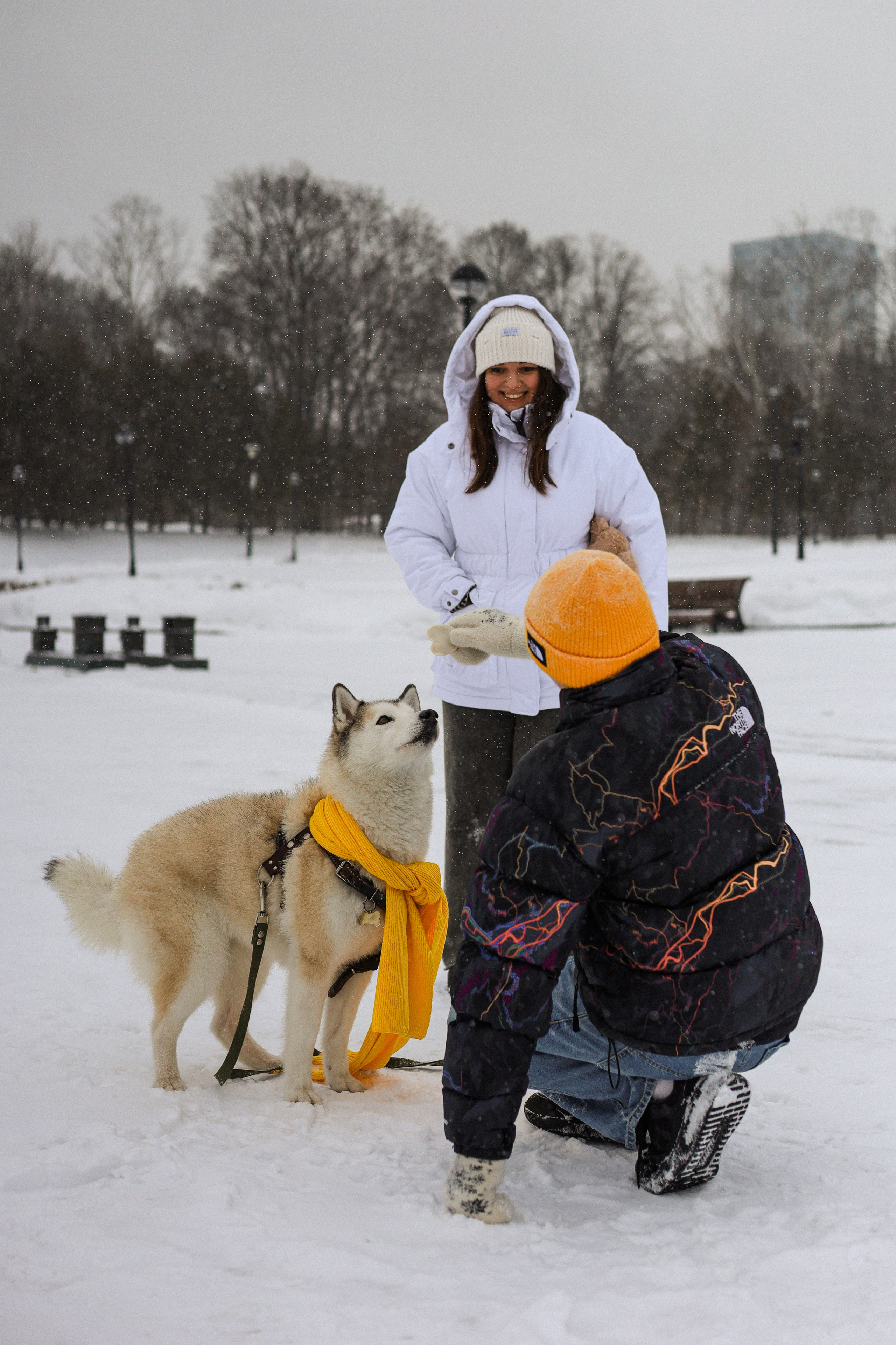 Мила, Лиза и Матвей. Фотограф-анималист Ксения Шевцова|Москва